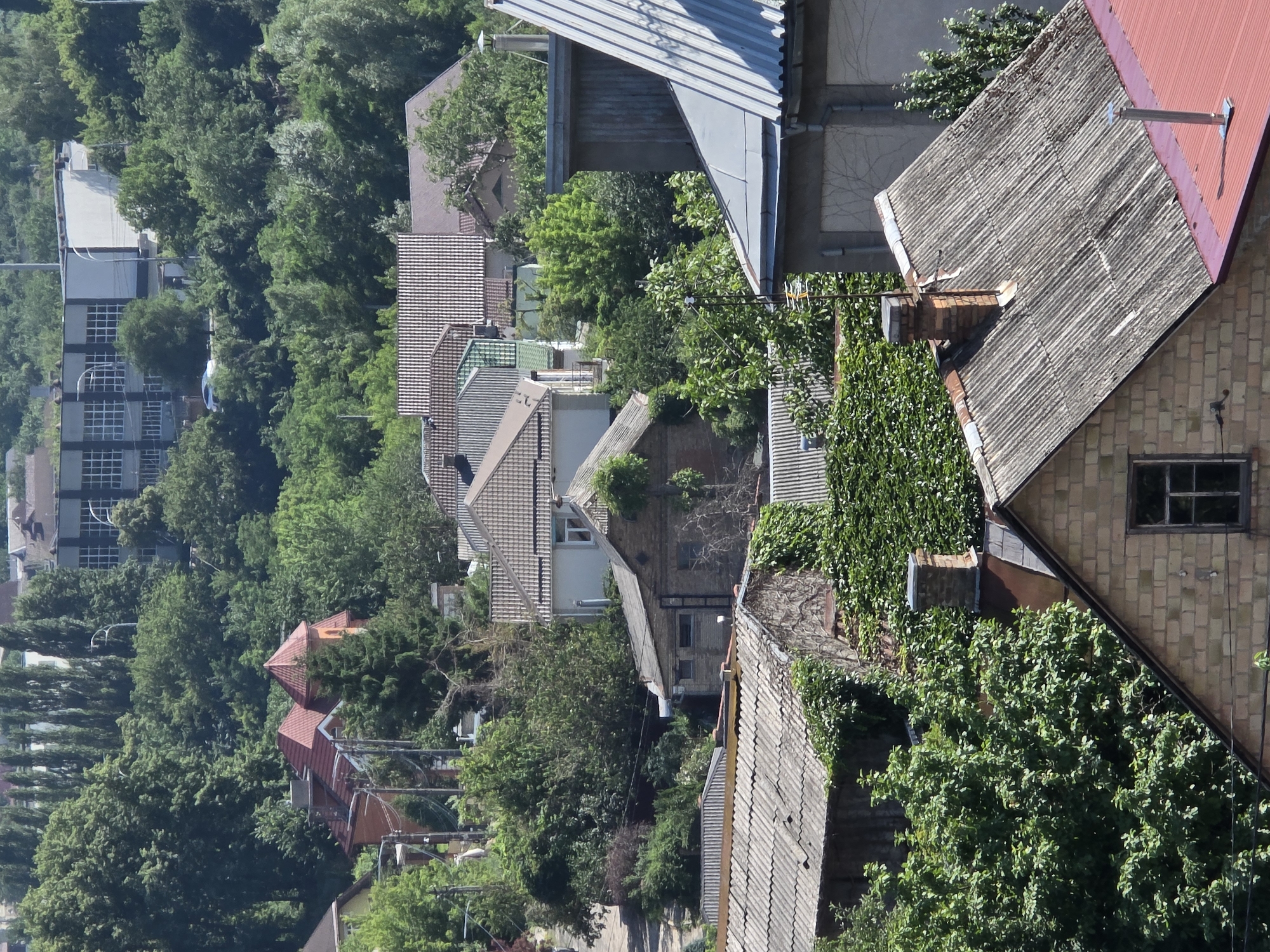This is a high-angle, vertical, medium shot of a residential area filled with trees and rooftops. The image is dominated by lush green foliage and various types of roofing materials, including asphalt shingles and corrugated metal. In the foreground, a weathered brick house with a dark-paned window is visible, topped with a corrugated roof and a brick chimney. To its left, another house features a grey corrugated roof. In the midground, several more houses are nestled amongst the trees, with different roof styles and colors, including a prominent red-tiled roof on a multi-story structure with a turret. In the background, a large, modern building with a grid-like facade stands out against the sky, partially obscured by trees. The scene is one of a densely populated, verdant urban or suburban environment.