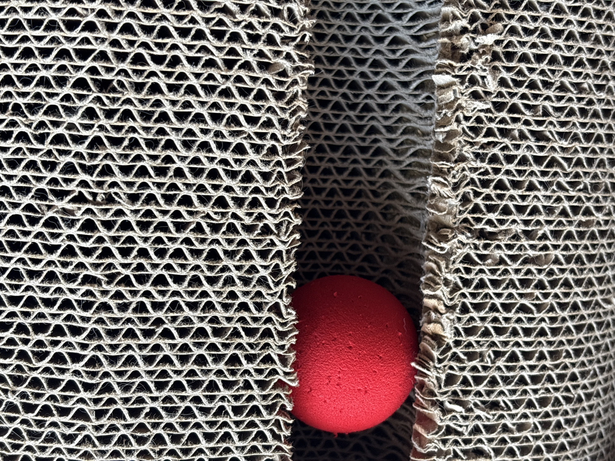 The image shows a close-up of a red, textured ball peeking out from a gap in corrugated cardboard. The cardboard has a honeycomb-like structure. There are no people or any indication of location in Bönnigheim, Germany. The scene is static and appears to be an indoor setting.