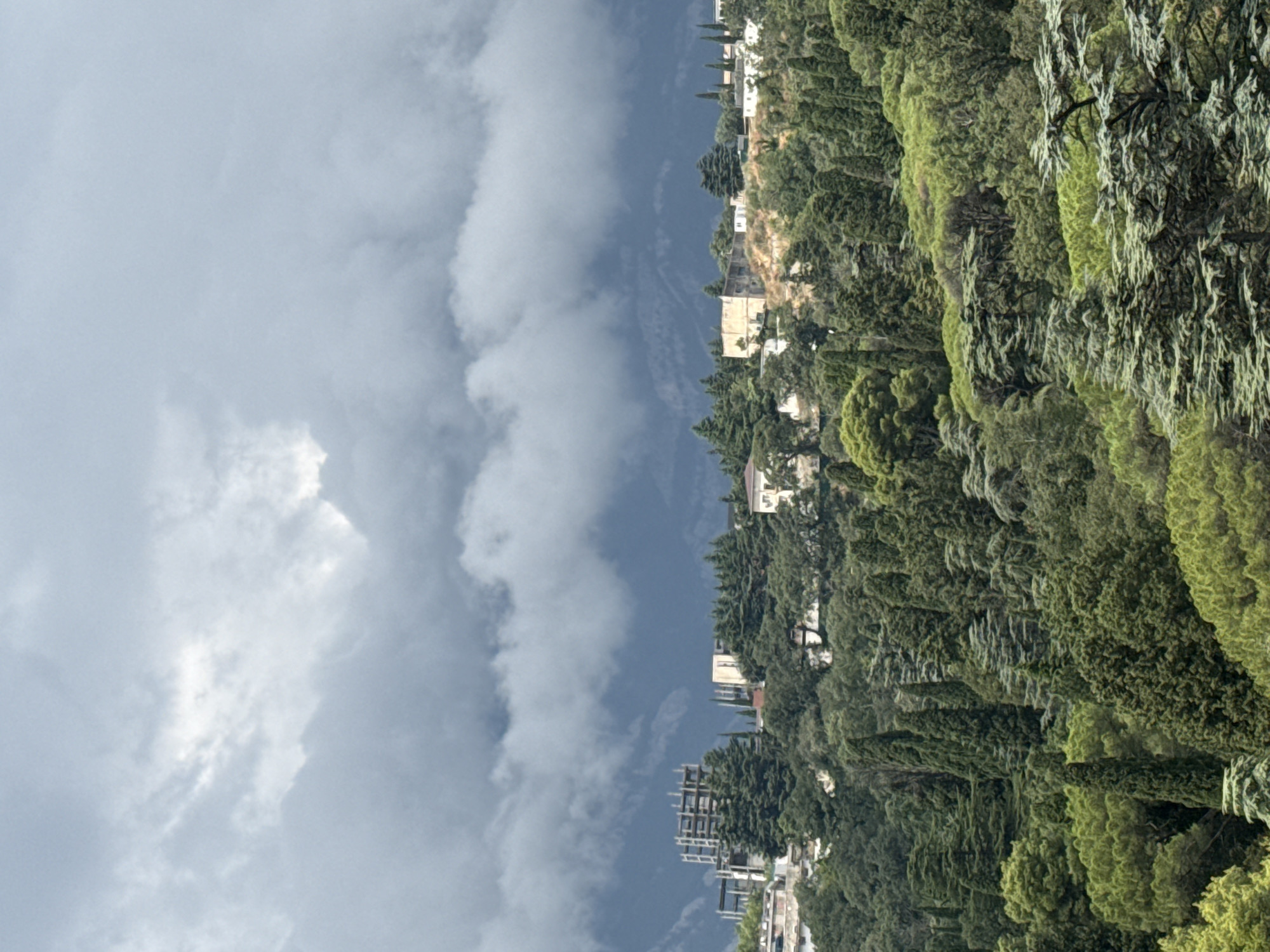 The image depicts a dense, verdant hillside covered with numerous coniferous trees, primarily cypress and pine varieties, characteristic of the Massandrovsky Settlement Council in Ukraine. The trees are lush and varied in height and shape, creating a textured canopy that stretches across the frame.
Peeking through the foliage are several buildings and structures. On the upper left side, an unfinished multi-story building, appearing to be a concrete frame construction, stands starkly against the natural landscape. Further to the right, scattered among the trees, are smaller residential buildings and what appear to be white utility structures. One building in the mid-ground is a pale, weathered structure with a flat roof.
Above the hillside, a dramatic sky dominates the upper portion of the image. Heavy, dark gray storm clouds are gathered, with lighter patches indicating breaks or thinner areas in the cloud cover. These clouds create a sense of impending weather or a recently passed storm. In the distance, behind the clouds, the faint outlines of mountains are visible, shrouded in atmospheric haze.
The overall impression is a view of a heavily forested area with scattered human habitation, set against a backdrop of dramatic and overcast skies. The lighting is diffused due to the cloud cover, giving the scene a somewhat subdued and moody atmosphere. There are no people visible in the image.