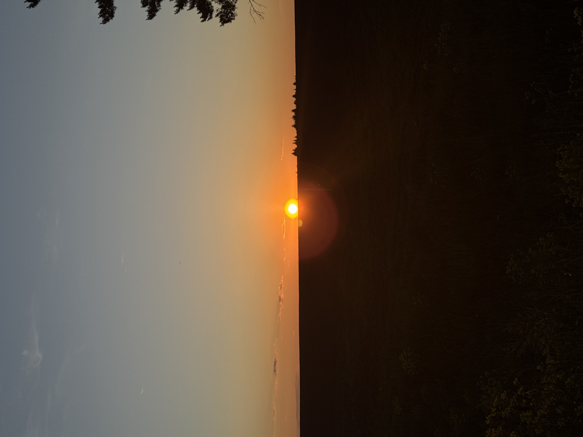 This image depicts a sunset over a flat, expansive landscape in Perevoznoe, Russia. The sky transitions from a pale blue-grey at the top to a vibrant orange and yellow at the horizon, with several small, diffused clouds visible. The sun, a brilliant orange-yellow orb, is positioned slightly left of the image center, partially obscured by the horizon, and exhibits a prominent lens flare effect. The foreground and midground consist of a dark, silhouetted field, with minimal discernible detail of vegetation due to underexposure. A distinct, flat horizon line separates the sky from the land. A cluster of dark, silhouetted trees is visible along the horizon line on the right side, and a portion of a larger, closer, silhouetted tree with visible branches is present on the far right edge of the frame. No individuals, animals, or artificial structures are identifiable within the scene.