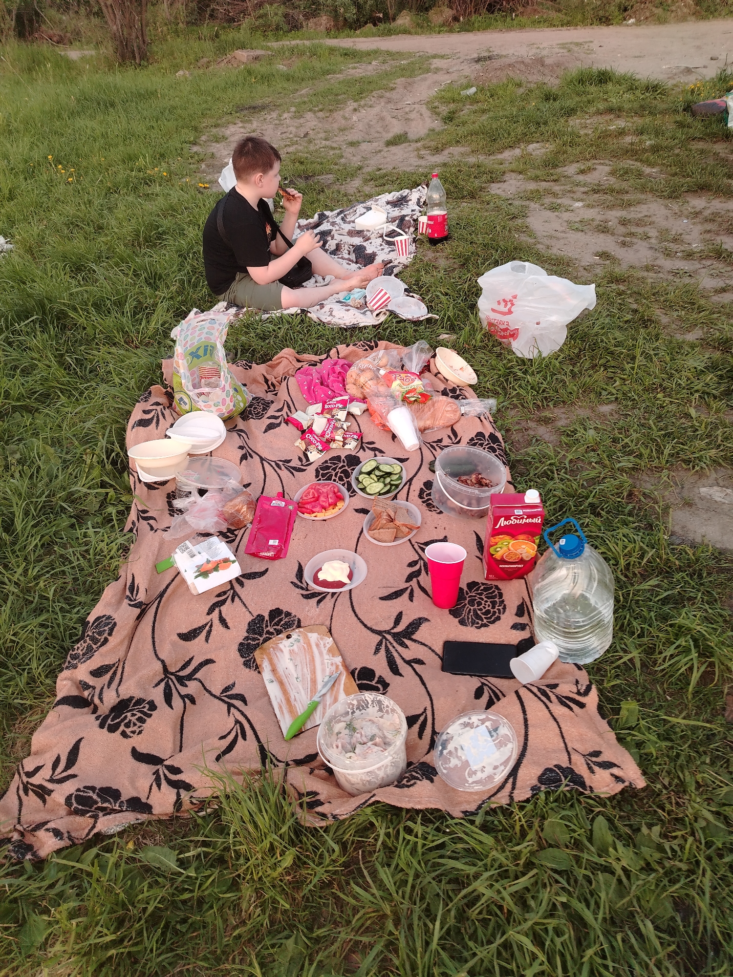A medium shot depicts a picnic scene on a patch of green grass near a dirt path, likely within the Rusanovo district of Russia. A boy sits on a smaller blanket, eating. On a large blanket, there's a variety of food, including bread, Coco-Pies, vegetables, and a bottle of orange juice with the Russian label "Любимый". There are plastic containers with food, plastic cups, and a large water jug. An unidentifiable mobile phone rests on the blanket. A plastic bag and other containers suggest remnants of food packaging. The surrounding environment is grassy, with trees in the background, and the dirt path indicates a semi-urban or park-like setting.