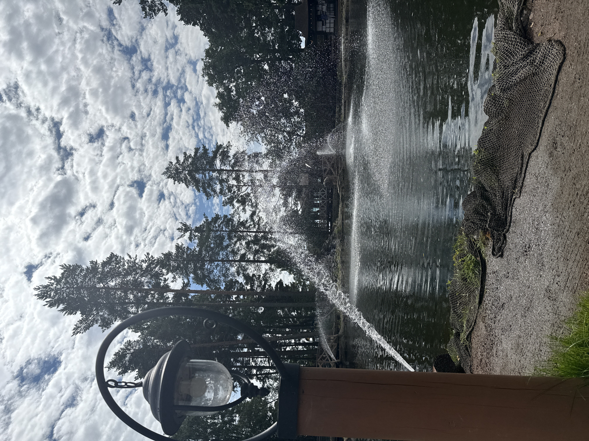 In Komarovo, Russia, a pond features active fountains, spraying water in arcs across the surface. The pond is surrounded by lush green trees, with tall pines dominating the background. A wooden bridge spans part of the pond. In the foreground, a vintage lamp post with a dark metal frame and a glass enclosure stands on a wooden post. The ground is a mixture of dirt and gravel, with several black fishing nets laid out near the water's edge. The sky is filled with a mix of white clouds and patches of blue.
