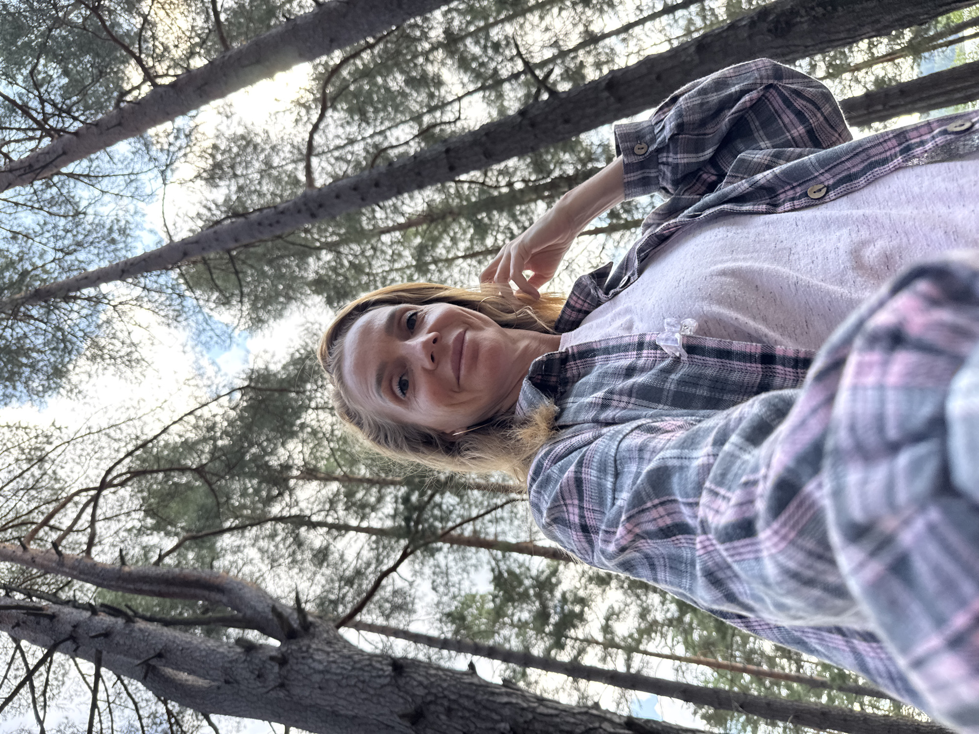 In Portovoe, Russia, a woman with blonde hair styled in a bun poses for a selfie outdoors. She is wearing a pink and grey plaid shirt over a white t-shirt, and she is touching her hair with her right hand. The background consists of tall pine trees reaching towards a bright, cloudy sky. The low-angle perspective emphasizes the height of the trees.