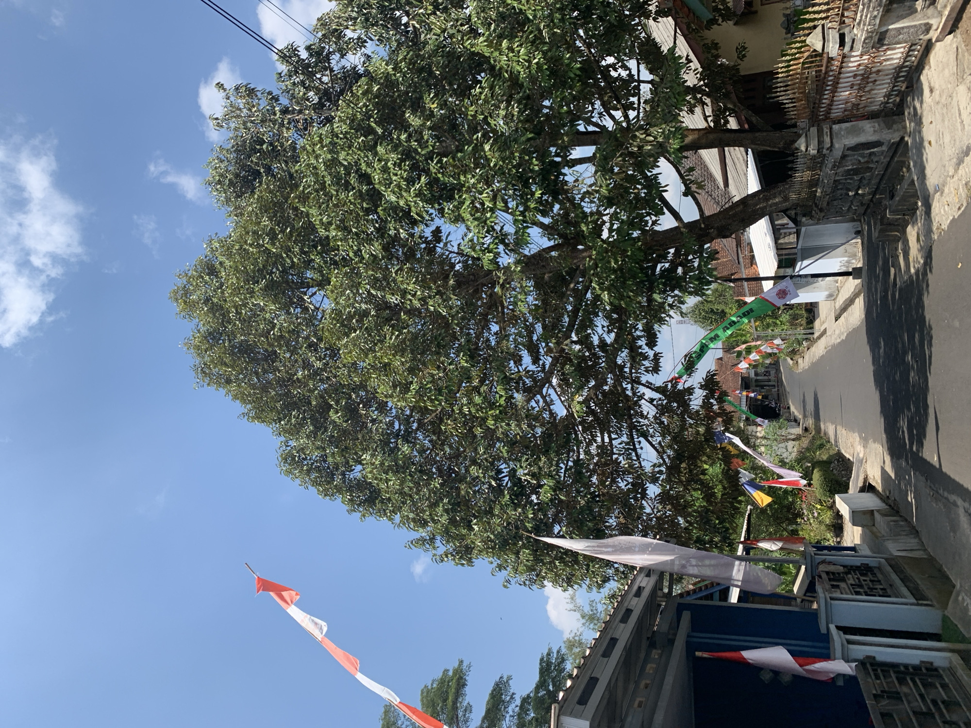 The image captures a street scene in Ciamis, Indonesia, on a clear, sunny day with scattered clouds. The foreground features a residential area with houses lining a paved road. Several Indonesian flags, red and white, are displayed, indicating a celebratory occasion, possibly Independence Day. A large, leafy tree dominates the center of the frame, its branches casting shadows on the road. The street is empty of people, creating a tranquil atmosphere. The architecture of the houses suggests a typical Indonesian village or small town. The overall impression is one of a bright, peaceful day in a rural or suburban setting.