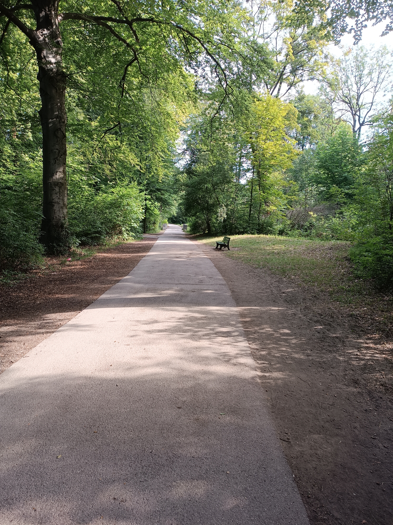 A paved pathway, lined by dense green trees, runs through a park in Munich, Germany. The pathway, illuminated by dappled sunlight, curves gently into the distance. A solitary green bench is visible on the right side of the pathway, nestled among tall grass and dry leaves. The surrounding trees are lush, with a mix of vibrant green and yellow foliage, suggesting it is late summer or early autumn. The ground beside the pathway is covered in a mix of dark soil, pine needles, and scattered leaves. A single pink flower is visible on the left side of the pathway near a large tree trunk. The sky is overcast with bright white patches, indicating daylight.