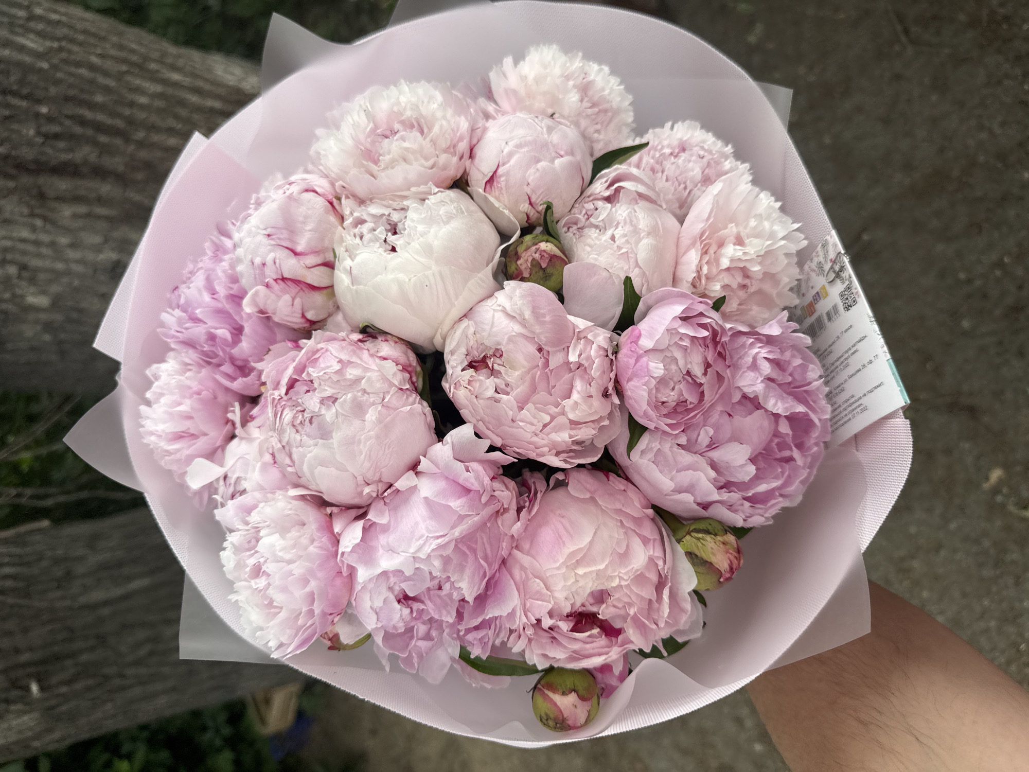 A hand holds a bouquet of pink and white peonies, wrapped in pink and white paper. The background shows a blurred tree trunk and foliage, suggesting an outdoor setting, possibly a park or garden. A label with text and a QR code is visible at the bottom of the bouquet. The overall lighting is natural and diffused.