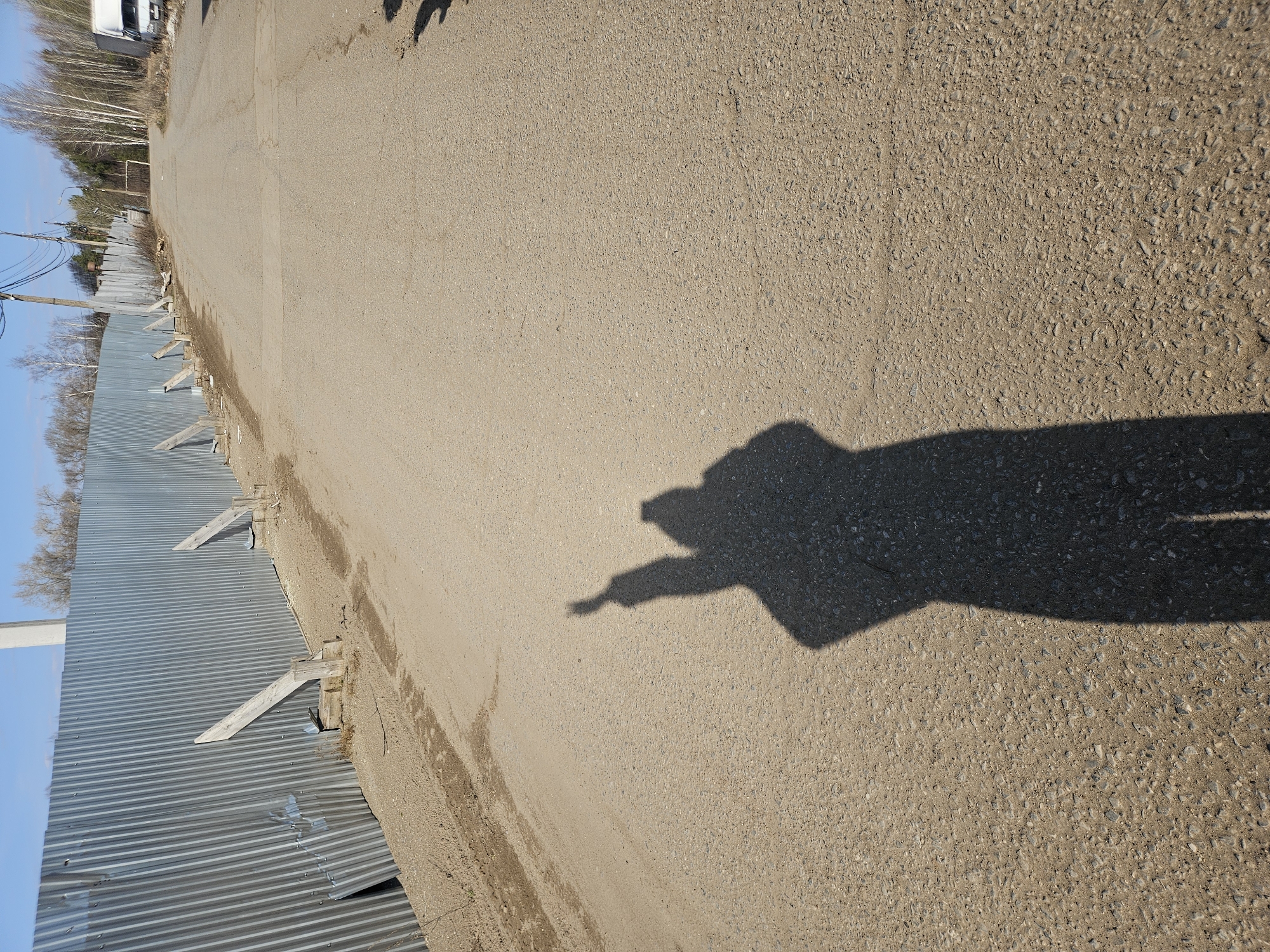 The image captures a sunlit, somewhat unpaved road, likely gravel or rough asphalt, stretching diagonally across the frame. Dominating the foreground and midground is a long, distinct shadow of a person, cast across the road. The shadow appears to show the person with outstretched arms, possibly holding a device like a phone for a photograph or pointing towards something.
To the left of the road, a tall corrugated galvanized metal fence runs parallel, supported by several sturdy wooden braces angled into the ground. Beyond the fence, a row of bare trees, possibly birches, indicates early spring or late autumn. Utility poles and wires are also visible against a clear, bright blue sky. In the distance, on the far side of the road, faint shadows of other objects or people are present, and a white vehicle or building can be vaguely seen.
The long, sharp shadows suggest that the photograph was taken either during the early morning or late afternoon, under bright, clear weather conditions. The overall setting appears to be a semi-urban or industrial-edge environment, consistent with the location context of Chaikovsky, Russia. There is no visible text in the image.