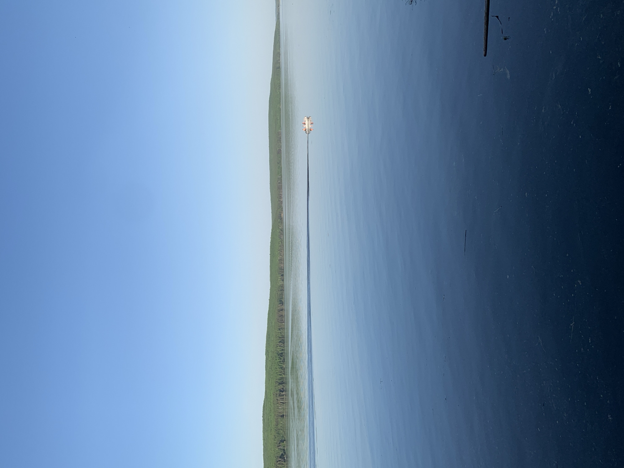 The image presents a tranquil landscape in Chaikovsky, Russia, depicting a body of water reflecting a clear blue sky. A thin strip of green vegetation separates the water from the sky in the distance. A single, small structure sits in the middle of the water, directly in the center of the image. The water transitions from lighter hues near the vegetated line to darker, deeper blues on the right side. A dark, vertical line is partially visible in the top-right corner, appearing to be a dock or some other structure.