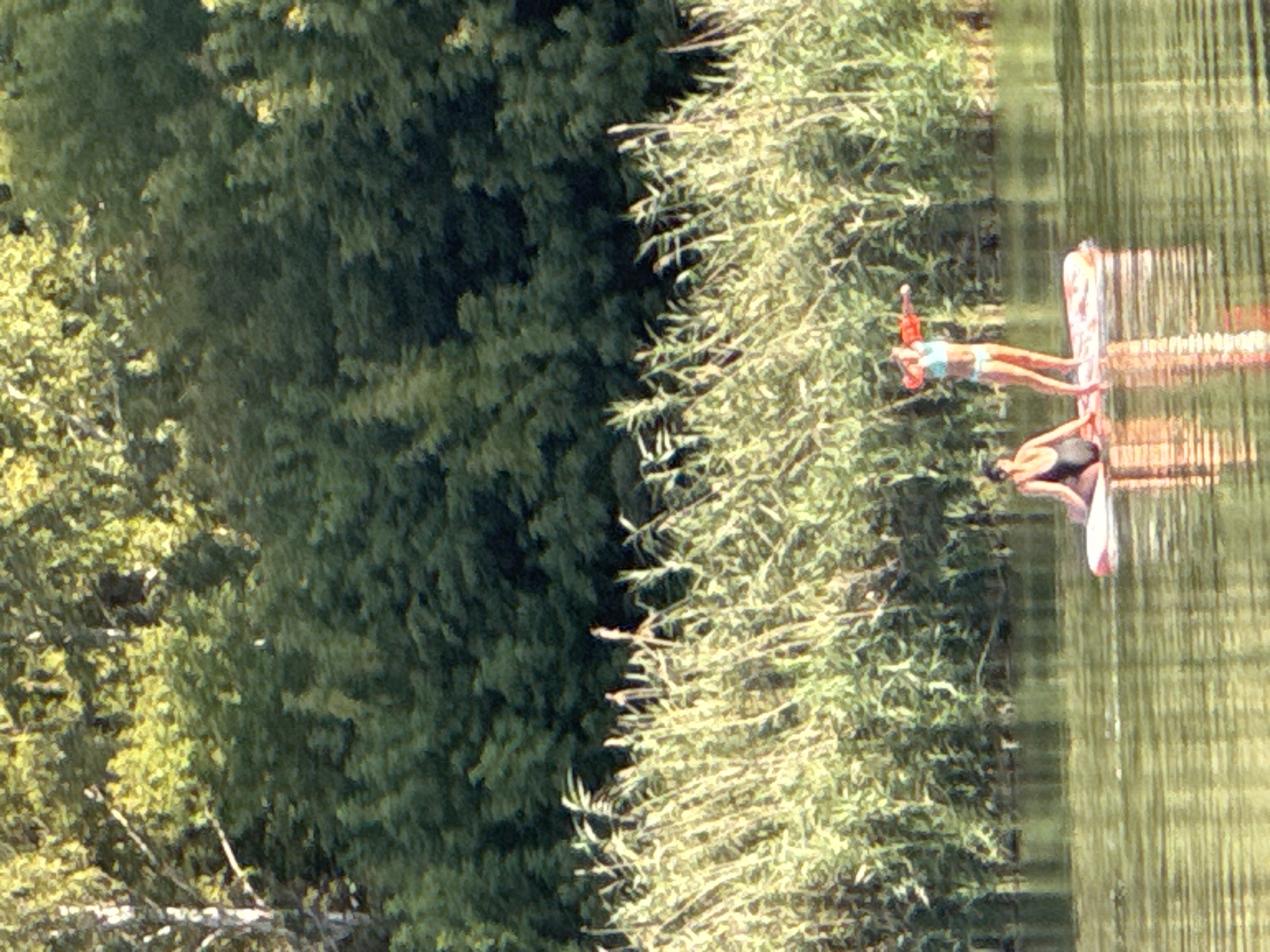 Two individuals are paddleboarding on a body of water. The person in the foreground is seated on a paddleboard, wearing a dark swimsuit. The person in the background is standing on a paddleboard, wearing a light-colored bikini and an orange flotation device. They are both facing towards the right side of the image. The water is calm and reflects the green foliage of the trees lining the shore. Tall reeds and grasses are visible along the waterline. The background is dominated by a dense wall of green trees. The scene is likely a recreational area in Rostov-on-Don, Russia, given the presence of water, paddleboarding activities, and lush greenery.