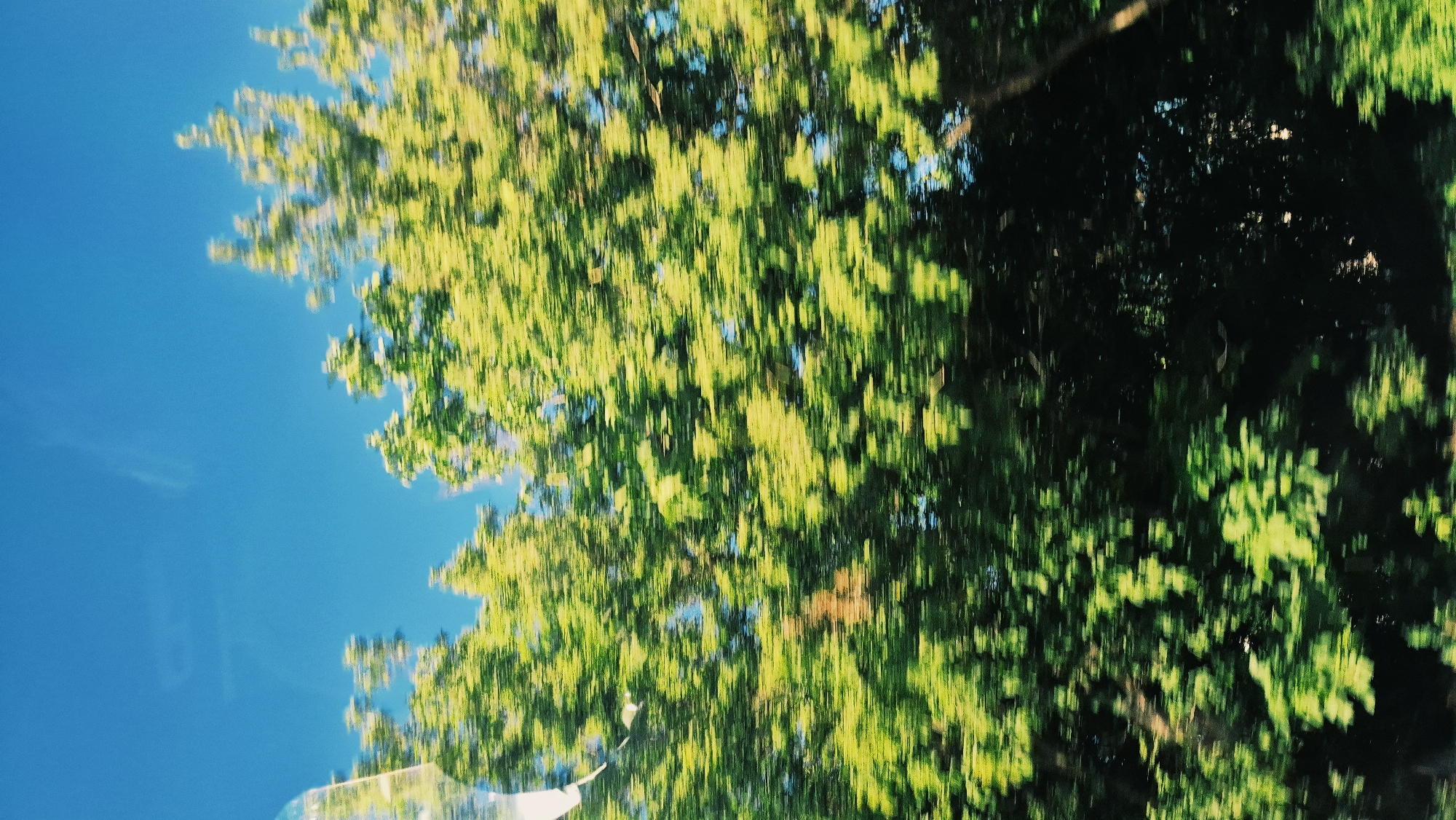 The image depicts a blurred view of trees with vibrant green foliage against a bright blue sky. The motion blur suggests the photograph was taken from a moving vehicle. There is a partial reflection of a white object on the left side of the image, possibly from the window of the vehicle. The overall scene is naturalistic, with no discernible human activity or urban elements visible, making it impossible to determine a specific location within Chișinău, Moldova.