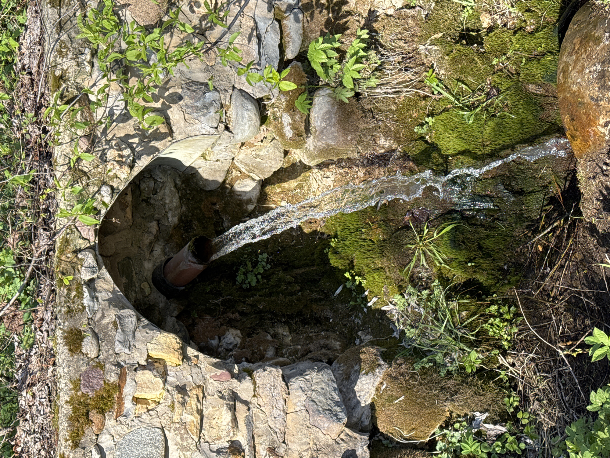 A top-down view of a water source, possibly a spring or fountain. Water flows from a pipe embedded in a structure built with rocks and stones. The surrounding area features lush green moss and vegetation. The location appears to be outdoors, possibly in a natural setting, although the specific city and region are not discernible from the image. There are no people visible.