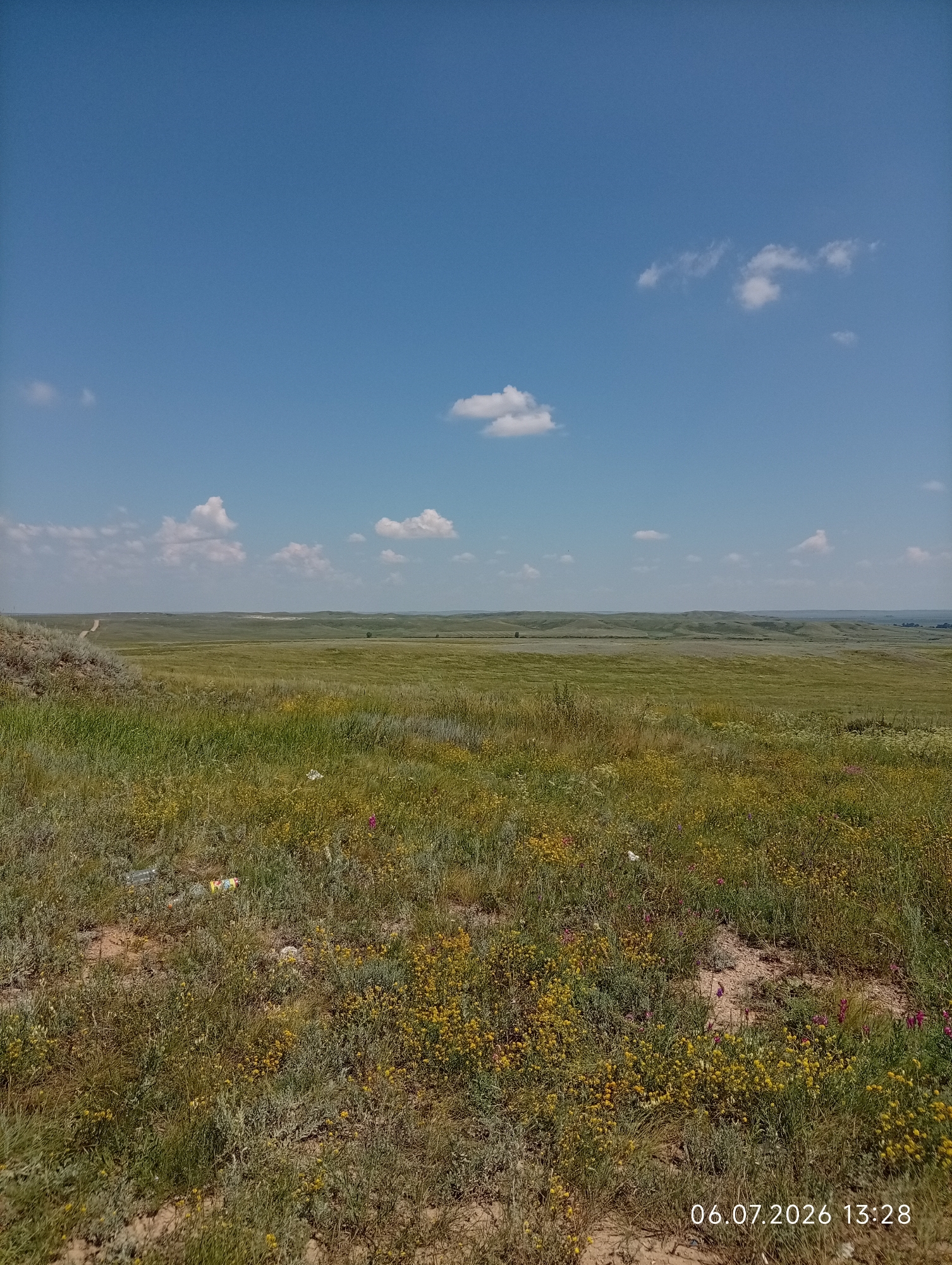 A wide, panoramic view captures a vast, rolling grassland under a clear blue sky dotted with scattered white clouds. In the foreground, the ground is covered with dry dirt and sparse, dry vegetation, interspersed with patches of green grass and small yellow wildflowers. There are also some pieces of litter visible, including plastic bottles and wrappers. A dirt track or road is visible on the left side of the image, leading up a slight incline and then disappearing into the distance. In the mid-ground and background, the landscape is characterized by undulating green hills and plains, with a faint, hazy horizon. The scene appears to be a natural, undeveloped environment, possibly a steppe or prairie. The timestamp "06.07.2026 13:28" is overlaid on the lower right corner of the image. This image is likely taken in or near Aleksandrovka, Kazakhstan, given the description of a grassland environment.