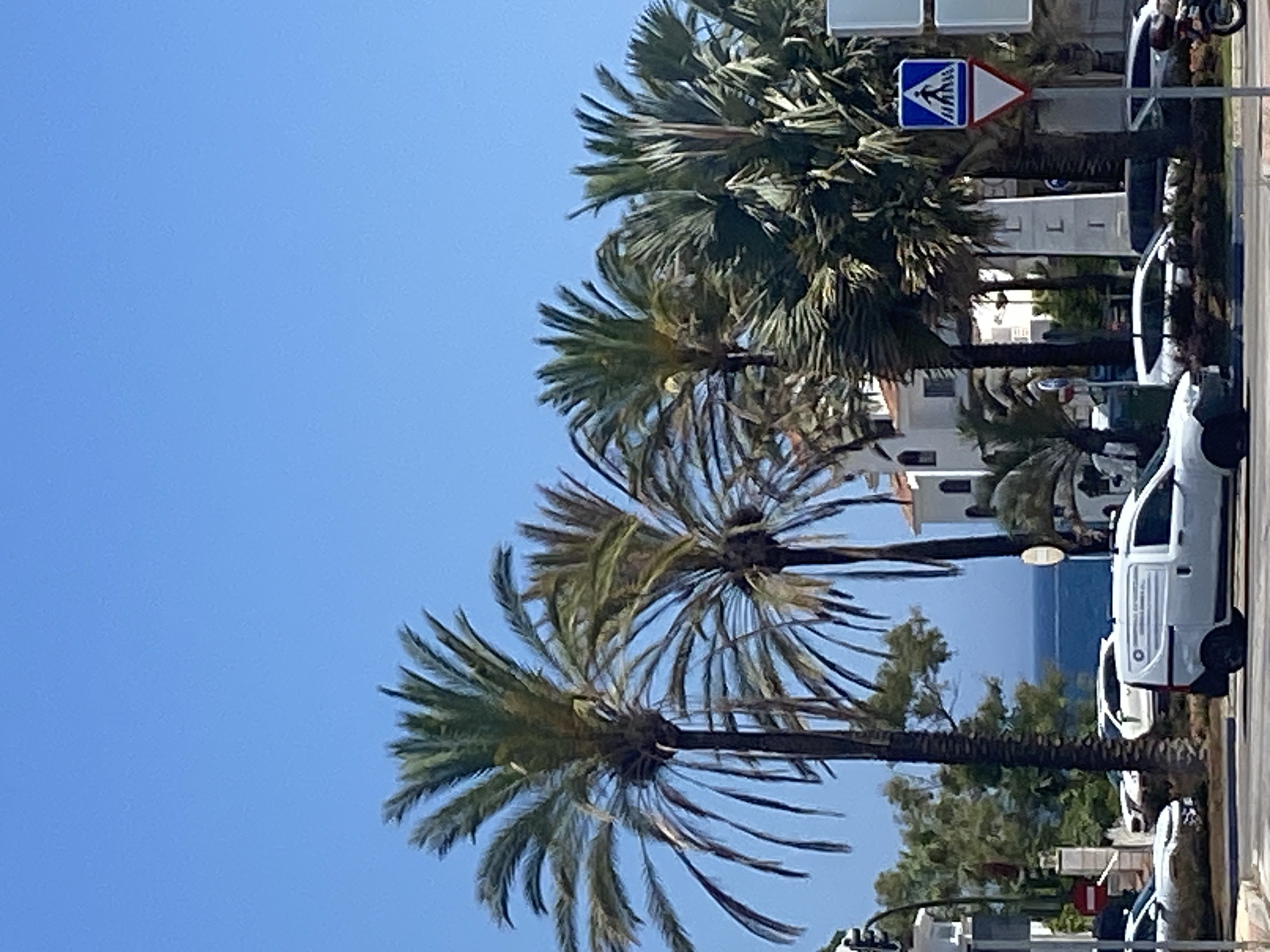 This is a vertical, eye-level, medium shot photograph taken in Marbella, Spain. The scene captures a street with palm trees in the foreground and the ocean in the background. The sky is clear and blue.
On the left side of the image, a traffic light is visible, along with a white car and a portion of another white vehicle. Further into the scene, a white van with a logo on its side is parked, and a white hatchback is driving behind it. In the middle ground, several palm trees of varying heights are present. Behind the palm trees, a multi-story white building with arched windows and balconies is visible, suggesting a residential or commercial structure. A white tower with the letter "L" on it is also present.
On the right side of the image, a pedestrian crossing sign is displayed, featuring a blue square with a white silhouette of a person walking on a crosswalk, framed by a red and white triangular border. Beyond this, more palm trees and sections of white buildings are visible. In the far distance, the blue ocean stretches across the horizon. A motorcycle is parked on the right edge of the frame. The overall scene depicts a sunny day in a coastal Spanish city.