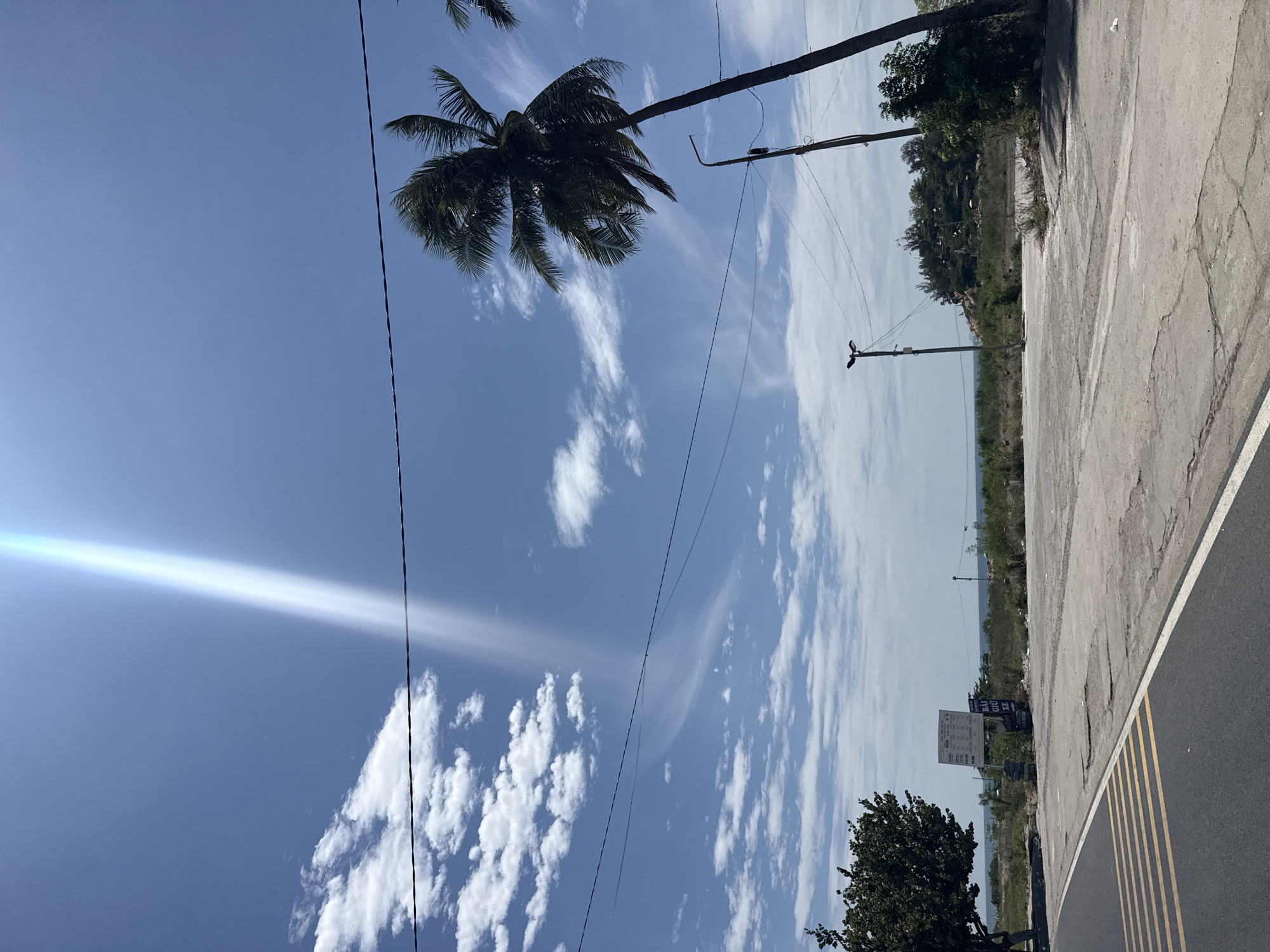 The image depicts a sunny day with a clear blue sky and scattered white clouds. A prominent sunbeam streaks down from the upper right corner of the frame. In the foreground, a paved road with yellow and white markings curves from the left. Adjacent to the road is a cracked concrete area.
To the left, a large, dark green tree stands. Further into the scene, a white sign with text and images is visible, along with a smaller blue sign with Vietnamese text and an arrow indicating "XE" (vehicle). Beyond this, the landscape consists of dry brush, vegetation, and a rocky outcrop topped with trees. In the distance, a body of water, likely the sea, can be seen.
On the right side of the image, a tall, leaning palm tree dominates the mid-ground, with its fronds swaying. Two utility poles with lights are also present, along with several power lines stretching across the scene. The overall impression is a coastal or semi-coastal area, possibly on the outskirts of Nha Trang, Vietnam, characterized by a mix of natural and man-made elements. No people are visible in the image.