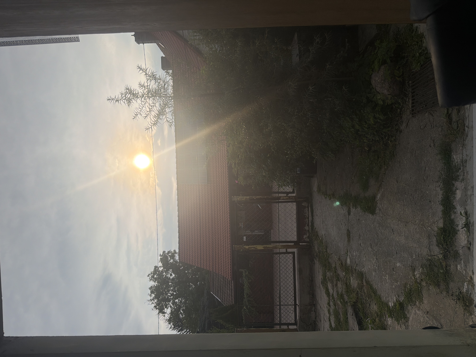 The image depicts an outdoor scene viewed through a window frame. The time of day appears to be late afternoon or early evening, as indicated by the setting sun which is a bright orb in the sky, casting lens flares and sunbeams across the scene. The location is a residential area in Szczecin, Poland, characterized by a detached house with a red tile roof, visible solar panels, and a fenced yard.
In the foreground, a concrete driveway or path leads into the yard. The yard itself is partially overgrown with grass and vegetation. A chain-link fence with metal posts separates the yard from the street or a neighboring property. Beyond the fence, there is a building with a red tiled roof, and trees are visible in the background. A small, slender tree with sparse foliage stands in the middle ground, silhouetted against the bright sky.
The overall impression is a quiet, domestic setting bathed in the warm, diffused light of the setting sun. There are no people visible in the image. The scene is static and peaceful.