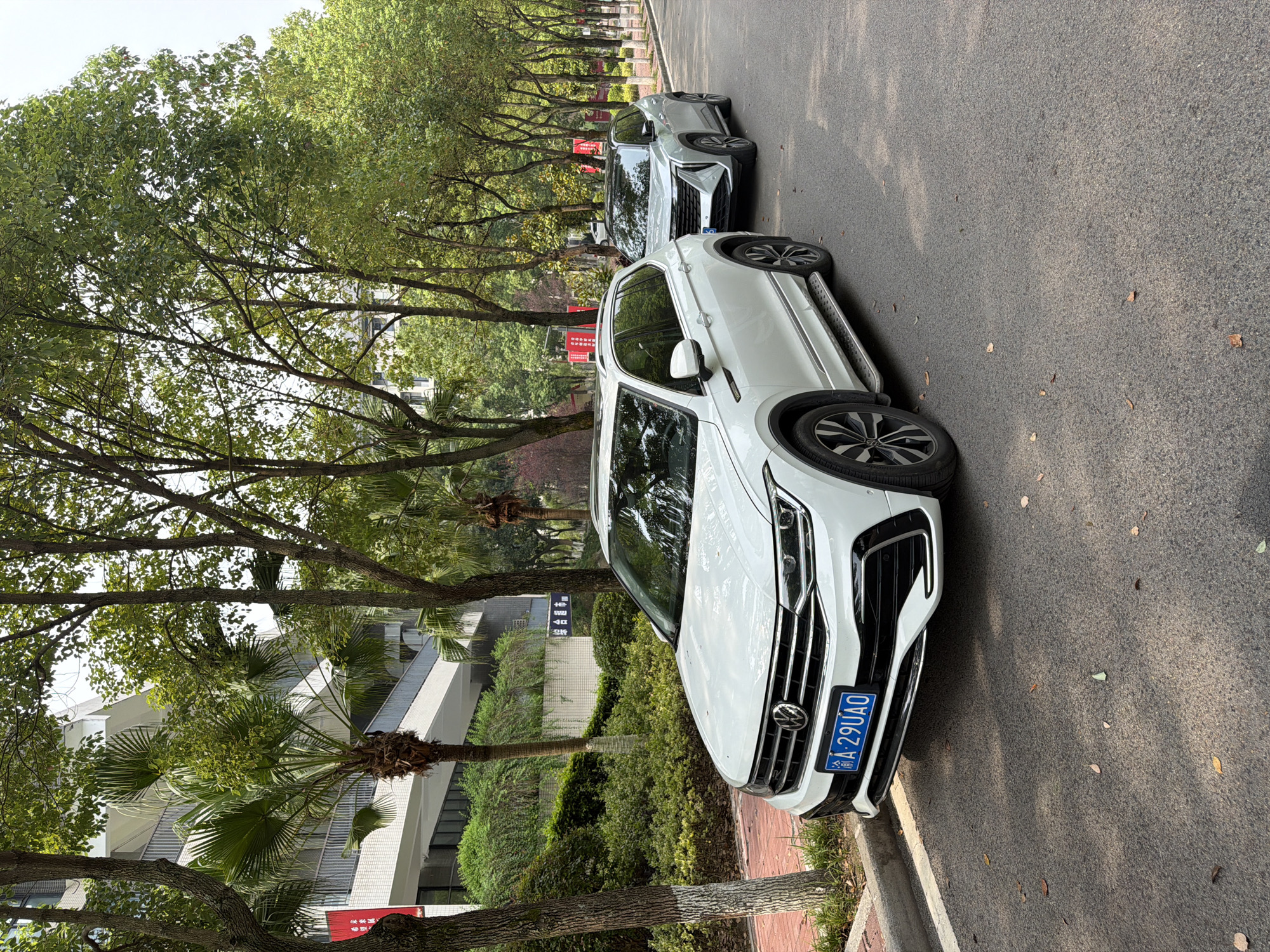 The image shows a street scene in Jiangjin, China, on a bright, overcast day. The foreground is dominated by a white Volkswagen Tiguan SUV parked on the right side of the asphalt road, facing away from the viewer. Its license plate reads "A 29U4O". A second, silver SUV is parked behind it. The road is lined with trees and a sidewalk with a low brick wall and green bushes. To the left, a multi-story white building with balconies and palm trees is visible. The overall impression is one of an urban residential area with well-maintained landscaping. There are no people visible in the image.