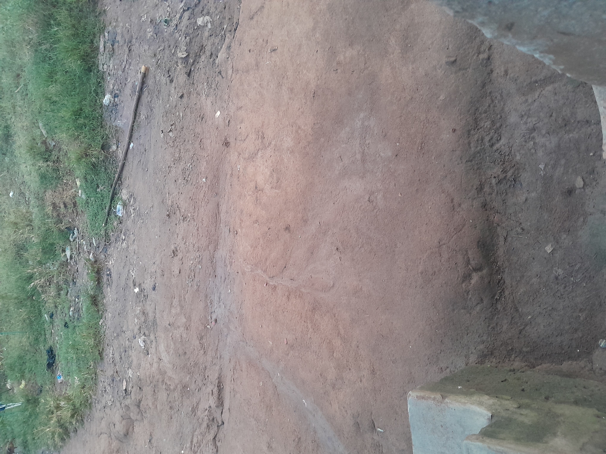 This image depicts an outdoor ground-level scene in Ifo, Nigeria. The foreground shows reddish-brown compacted dirt ground, uneven and marked with subtle depressions and faint paths. Partial views of two worn, light-grey concrete structures are visible at the bottom left and right edges, likely foundation elements or steps. In the midground, a dark brown stick approximately 0.75 meters long, with a lighter tip on its right end, lies horizontally on the dirt. The stick is positioned roughly parallel to the bottom edge of the image, slightly angled upwards to the right. The background features a strip of unkempt green grass and weeds bordering the dirt, extending across the upper portion of the frame. This grassy area and the adjacent dirt contain scattered litter, including crumpled plastic bags, white wrappers, and various unidentifiable small debris. No people, animals, or active interactions are visible. The lighting suggests daylight conditions, casting soft illumination across the scene.