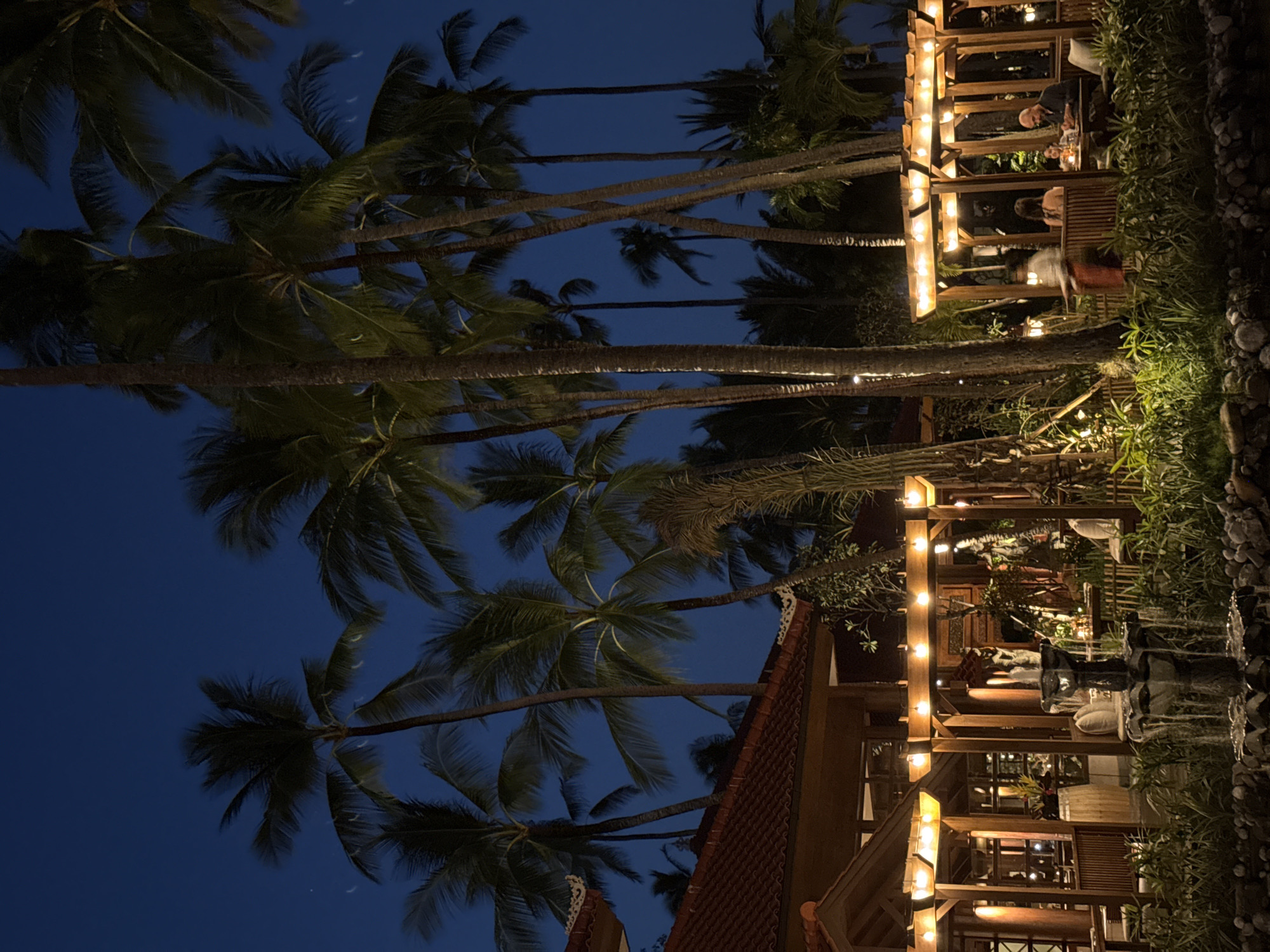 An outdoor evening scene captures a serene dining or lounge area amidst numerous palm trees. The sky, a deep twilight blue, dominates the upper portion of the frame, with the dark silhouettes of palm fronds and trunks extending upwards. Faint specks, possibly distant stars or a crescent moon, are visible in the sky.
On the right side, an open-air dining or lounge facility features wooden pergolas and structures illuminated by strings of warm, glowing lights. Several individuals are seated at tables within these structures, enjoying the evening. Their forms are discernible, though specific details of their faces or attire are not clear. The ground level, particularly in the foreground on the right, is characterized by lush green foliage, bushes, and what appears to be a decorative water feature or pond with ripples reflecting the light. Rocky or pebbled landscaping borders these garden elements.
A building with a distinctive reddish-brown tiled roof is visible in the lower right, partially obscured by vegetation and structures. The overall ambiance is tranquil and inviting, suggesting a resort or upscale restaurant setting in a tropical location. The artificial lighting contrasts beautifully with the dark night sky and dark green foliage, creating a cozy and intimate atmosphere. No visible text is present in the image. The setting aligns with a tropical environment, consistent with Kuta Selatan, Indonesia.