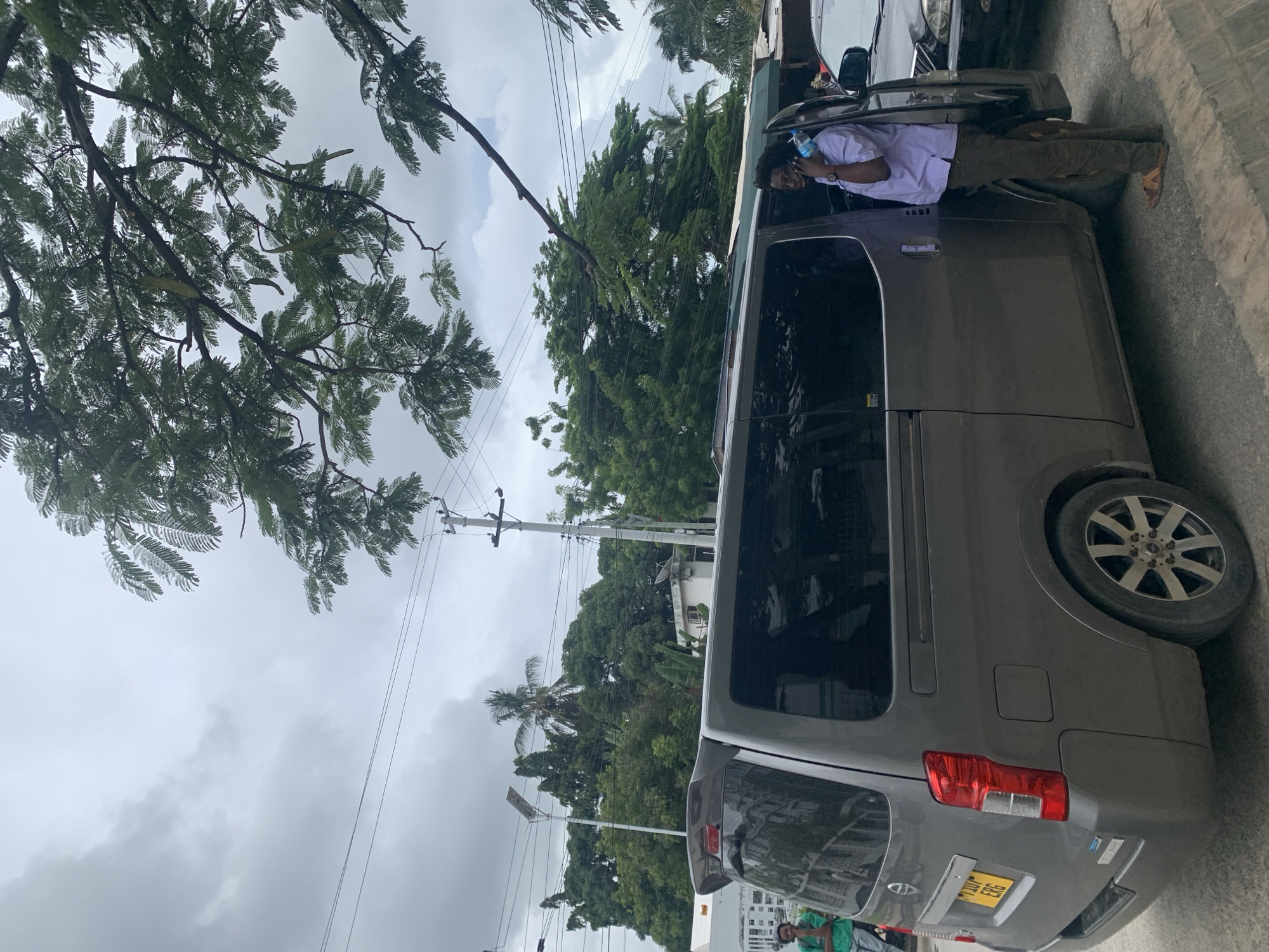 The image shows a gray van parked on a street in Dar es-Salaam, Tanzania. A man wearing a white shirt and brown pants is leaning into the open driver's side door. The van has a yellow license plate with the number "T 100 DJY ERG." Overhead, there are trees and power lines. The sky is overcast. There are other cars parked nearby, and a building can be seen in the background.