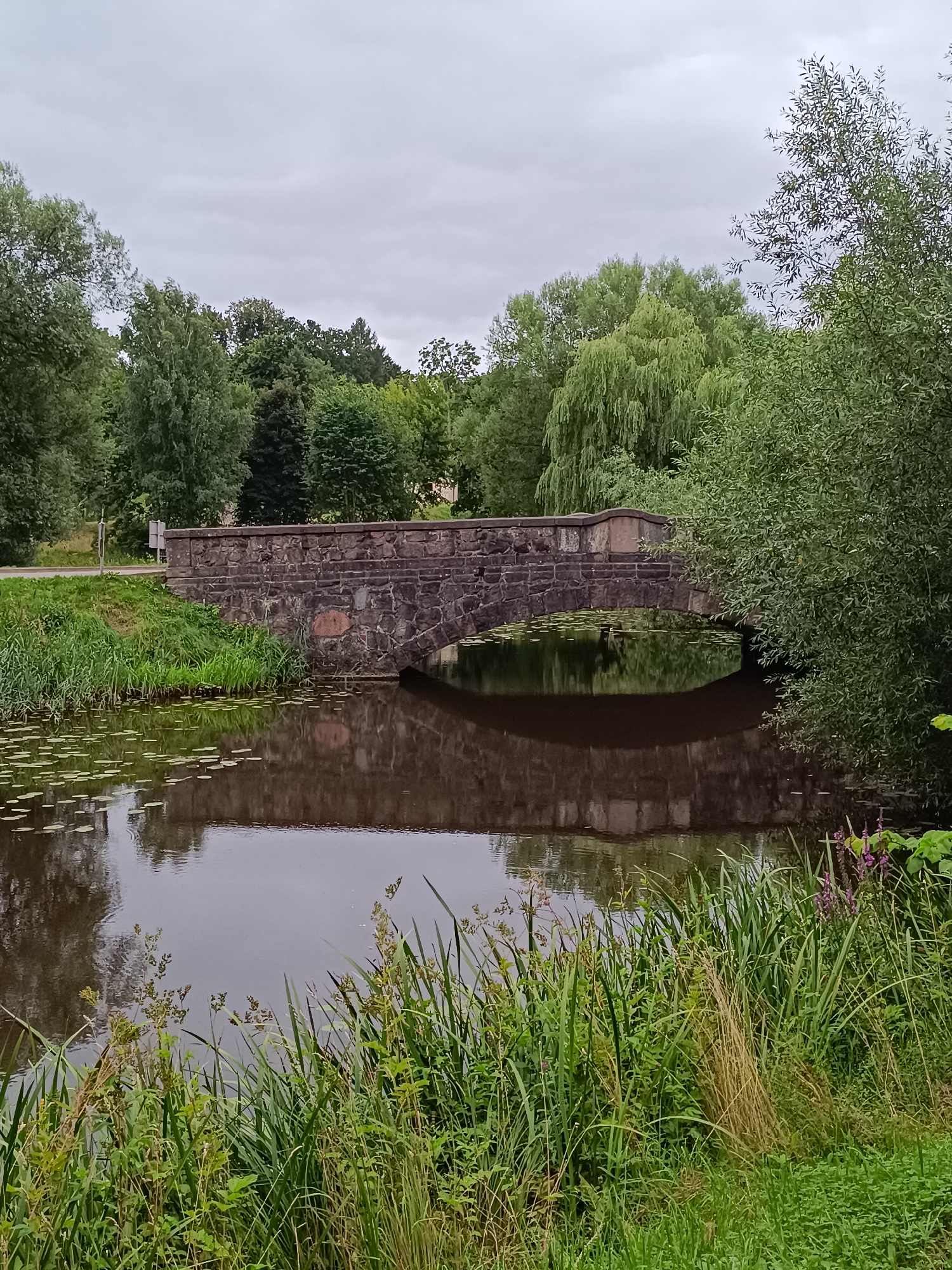 The image shows a stone arch bridge spanning a dark body of water in Aizpute, Latvia. The bridge is constructed from rough-hewn stones and has a low parapet. Lily pads are visible on the surface of the water. Lush green vegetation, including tall grasses and trees, lines the banks of the water and surrounds the bridge. The sky is overcast, creating a subdued light. The reflection of the bridge and surrounding trees is visible in the water. The scene depicts a serene, natural setting with a historical architectural element.