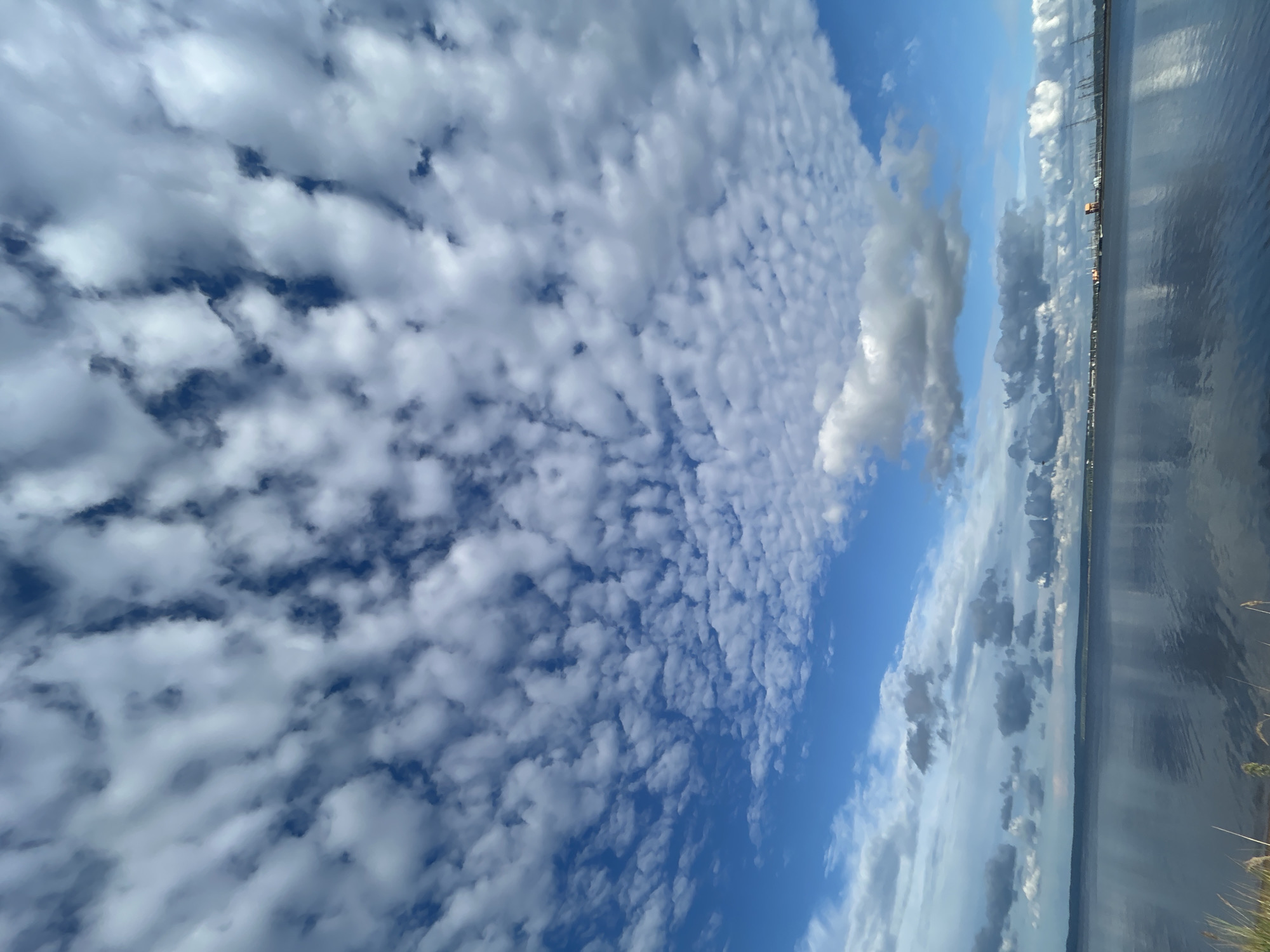 The image depicts a wide expanse of water, likely a bay or river, reflecting a sky filled with a variety of clouds. The clouds are predominantly white and puffy, with some areas of darker, more ominous-looking clouds scattered throughout. The water's surface is calm, creating clear reflections of the sky and the distant shoreline.
In the far distance, along the horizon, a faint line of structures can be seen, suggesting a city or industrial area. These structures are indistinct due to the distance and atmospheric conditions. The shoreline itself appears to be a low-lying landmass, with some vegetation visible in the foreground on the left side of the image, including tall grasses or reeds. The overall impression is of a serene, natural landscape with a hint of human presence on the periphery.
While the prompt mentions Noviy, Russia, there are no specific landmarks or identifying features within the image that definitively place it in Noviy or any other particular location in Russia. The scene is generalized and could be found in many coastal or waterfront areas.