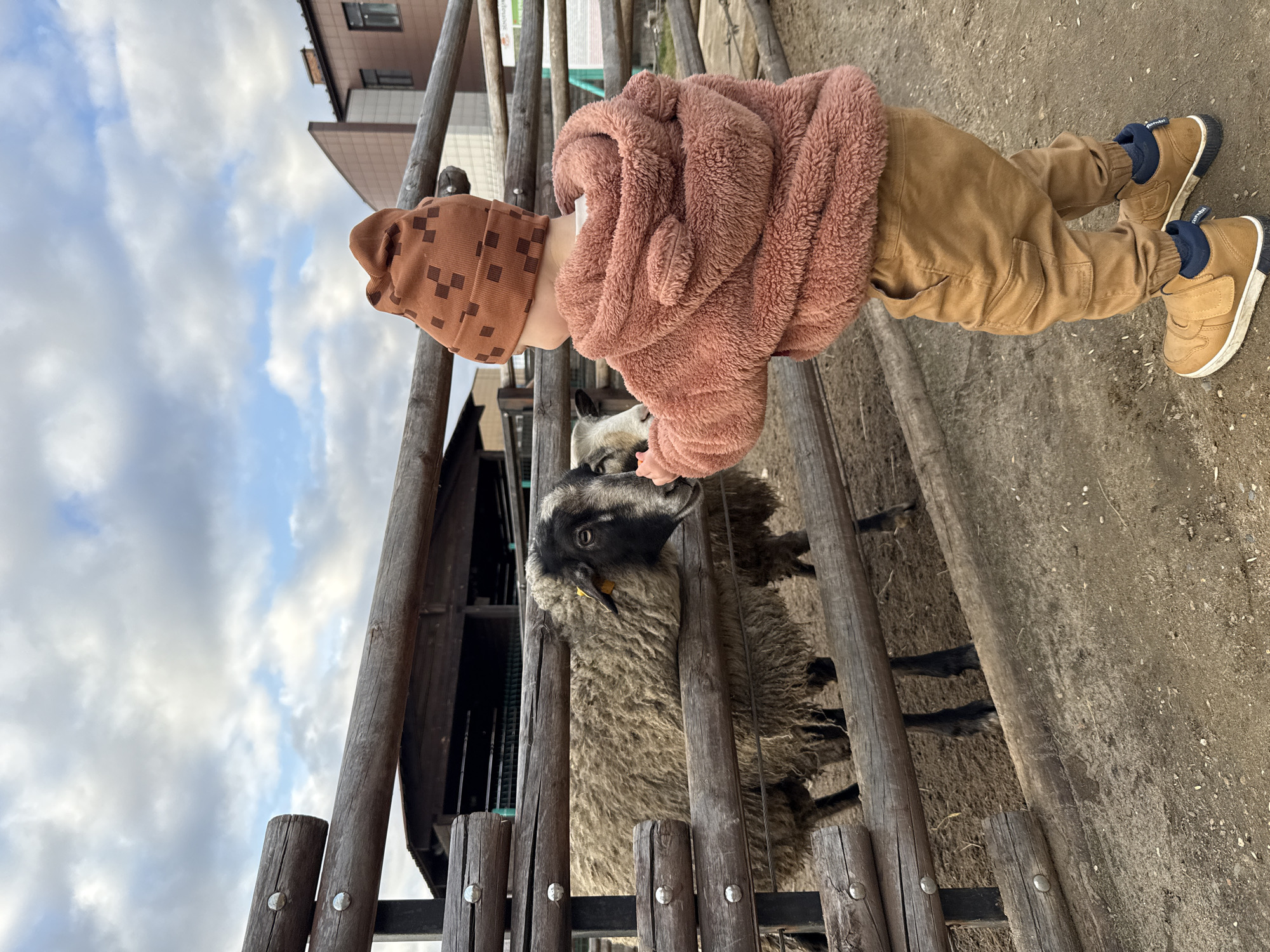 In Rusanovo, Russia, a young child wearing a brown, patterned hat and a fuzzy, rose-colored jacket leans over a wooden fence, interacting with a sheep. The sheep, primarily black with a greyish-brown fleece, is positioned inside the enclosure, its head close to the fence, apparently being petted by the child. The child is also wearing brown pants and tan shoes. The enclosure is constructed of rounded wooden posts and thin horizontal bars, creating a simple fence. Outside the enclosure, the ground appears to be dirt or a sandy mixture. In the background, there are glimpses of a building under a partly cloudy sky.