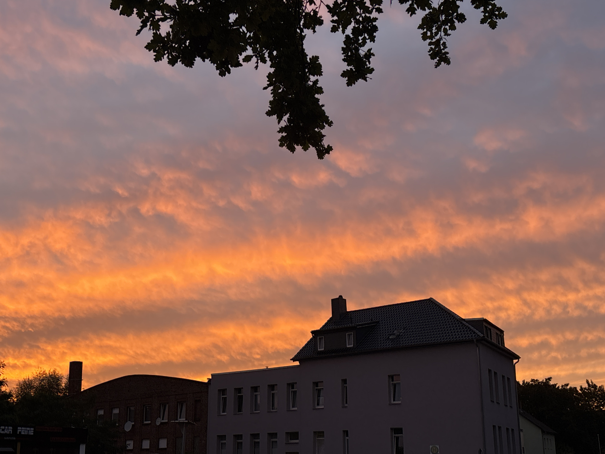 A silhouette of tree branches with leaves hangs in the upper portion of the frame against a vibrant sunset sky. The sky is filled with clouds that are illuminated in shades of orange and pink, creating a dramatic and colorful backdrop. In the midground, the rooftops of buildings are visible. To the left, a portion of a dark brick building with a smokestack is silhouetted. To the right, a lighter-colored building with a grey tiled roof and multiple windows is prominent. The lower section of the image shows the tops of these buildings, with the sunset sky filling the majority of the composition.