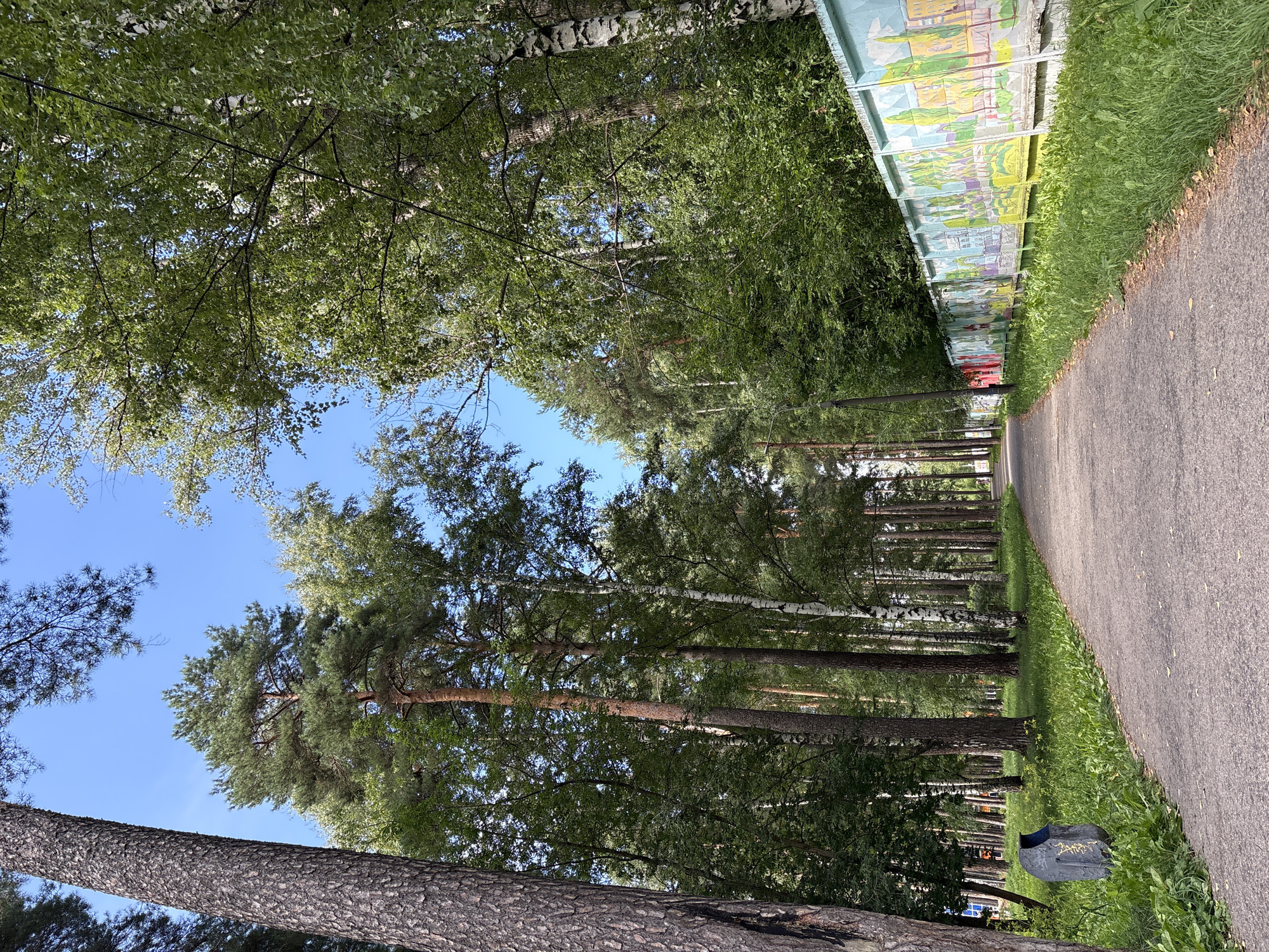 The image shows a paved pathway in a park, lined with trees and a decorated concrete wall. The pathway leads into the distance, curving slightly to the right. On the left side of the pathway, there is a trash can and lush green grass. The wall on the right is adorned with colorful murals depicting various scenes, possibly of buildings and nature. The trees are a mix of deciduous and coniferous, with dense green foliage. The sky above is clear and blue. The scene appears to be a public park in Krasnokamsk, Russia, likely during daytime in a season with abundant greenery. There are no people or animals visible in the image.
