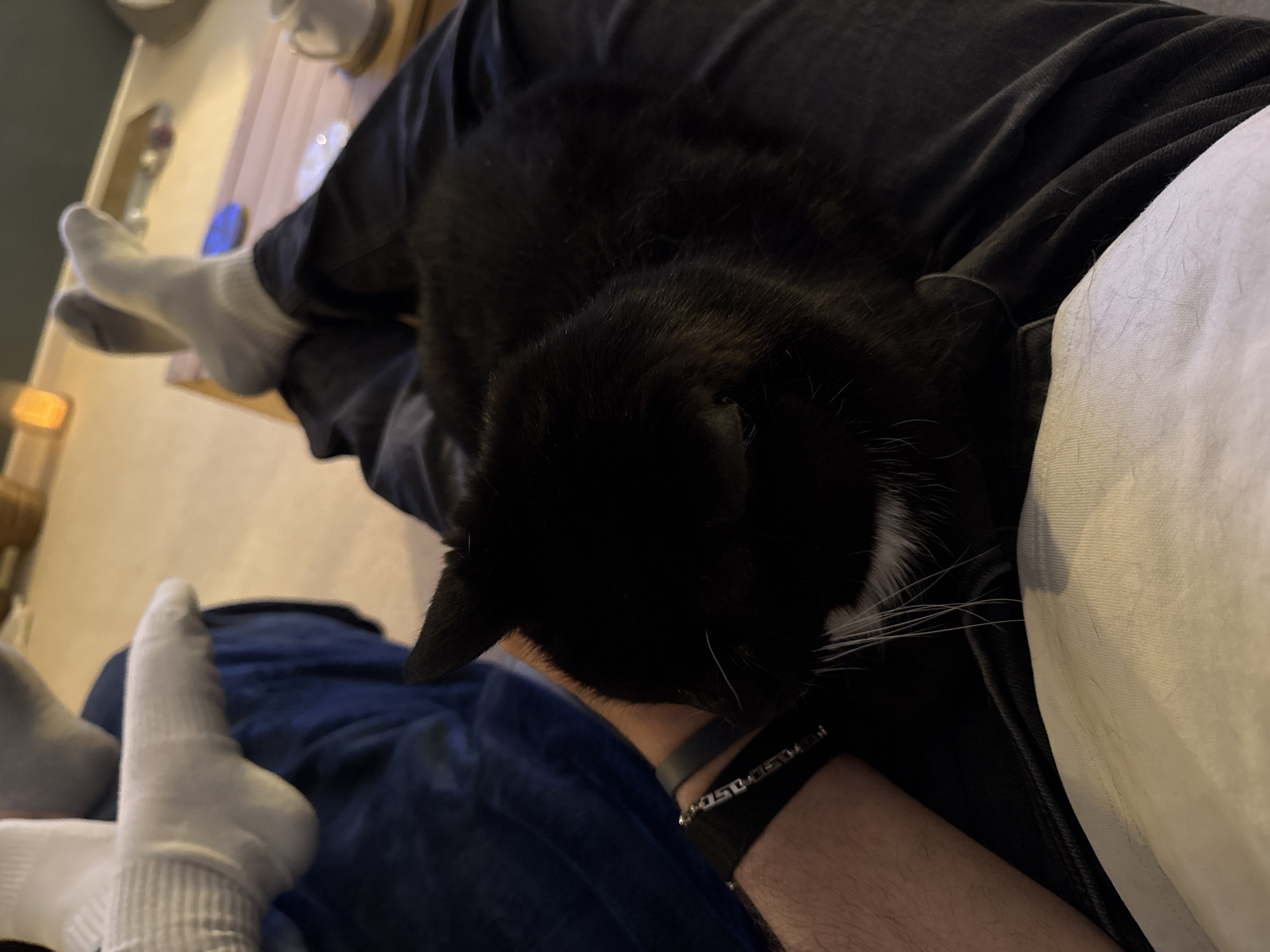 A black cat is lying on a person's lap. The person is wearing black pants and grey socks. A blue blanket is also visible on the person's lap. The person is wearing a black watch and a silver bracelet. The cat's face is obscured, but its whiskers are visible. A white pillow is visible to the right. The location is not specified.