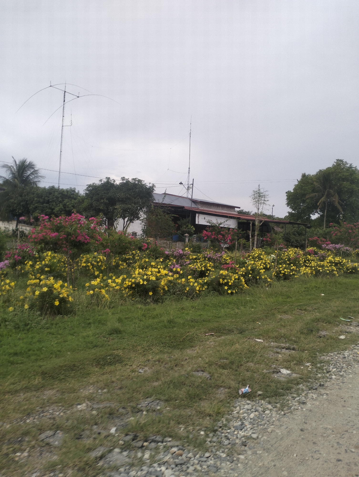 The image depicts a scene from Lhokseumawe, Indonesia, featuring a vibrant array of flowers in the foreground, with a house and radio towers in the background. The foreground is dominated by a lush green lawn, interspersed with gravelly paths. A thick band of flowers, predominantly yellow and pink, stretches across the middle ground, creating a colorful contrast against the green. The flowers appear to be blooming profusely, suggesting a well-maintained garden.
Behind the flowers, a building with a red roof is visible, appearing to be a house or a small establishment. Two prominent radio towers rise above the building and the surrounding trees. These towers, one taller and more complex than the other, suggest the presence of a communication facility or a private radio enthusiast's setup. Several trees, including a palm tree on the left, are scattered throughout the background, contributing to a tropical atmosphere. The sky is overcast, indicating a cloudy or possibly rainy day. The overall impression is one of a rural or semi-urban setting in Lhokseumawe, characterized by nature's beauty and technological elements.