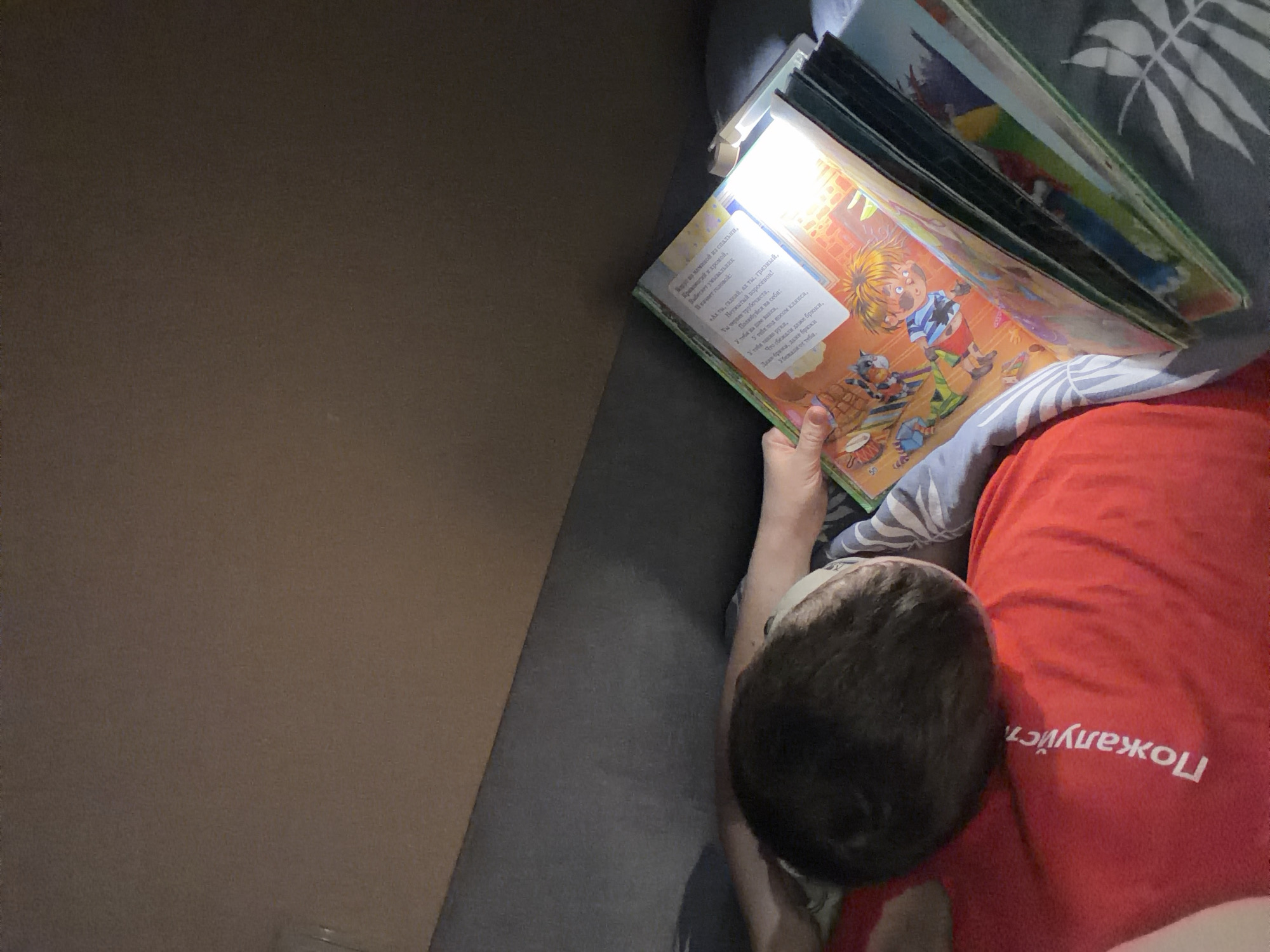 A young person with dark hair is lying on their side and reading a book. The book is open to a page with colorful illustrations and text. The person is wearing a red t-shirt with white text that reads "Пожалуйста" (Please). The scene appears to be indoors, possibly in a bedroom or living room, with a gray sofa and a wall in the background. The lighting is soft and warm. This image does not provide any specific clues to determine the location in the city of Khabarovsk, Russia.