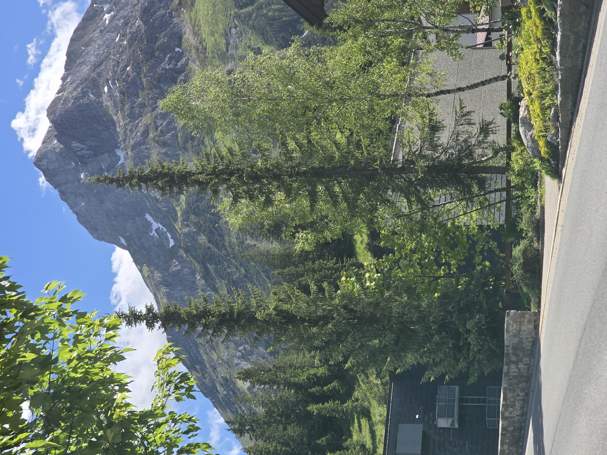 This is a scenic, eye-level, outdoor, vertical shot of the Lech Valley in Austria, featuring a towering mountain peak in the background, likely in the Alps. The mountain is rugged and rocky, with patches of snow and green vegetation covering its slopes. In the foreground, there are several tall evergreen trees and deciduous trees, their lush green foliage contrasting with the rocky mountain face. A modern, dark-colored building with balconies is partially visible on the left side of the frame, while a lighter-colored, textured building is on the right. A paved road runs in front of the buildings, with a stone wall bordering the sidewalk. Yellow and green flowering plants are situated along the roadside. The sky is a clear blue with scattered white clouds, indicating a sunny day. There are no people or animals visible in the image.