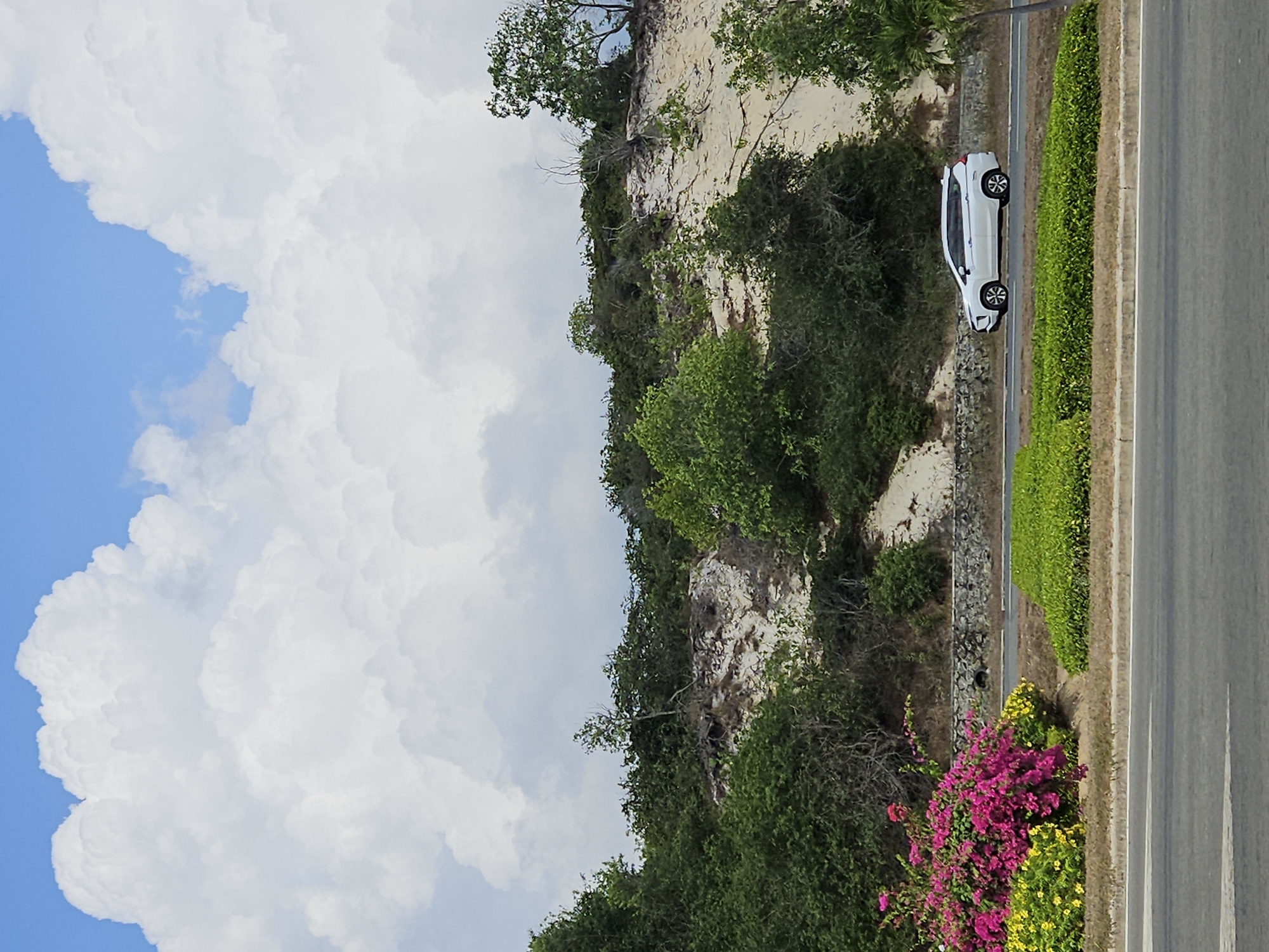 A white car is parked on the shoulder of a two-lane road, next to a grassy median. Adjacent to the road is a steep embankment covered in vegetation, including trees, shrubs, and flowering plants with pink and yellow blooms. Above the embankment, a section of sandy cliff is visible. The sky is partly cloudy with patches of blue. The location is Bac Cam Ranh Ward, Vietnam.