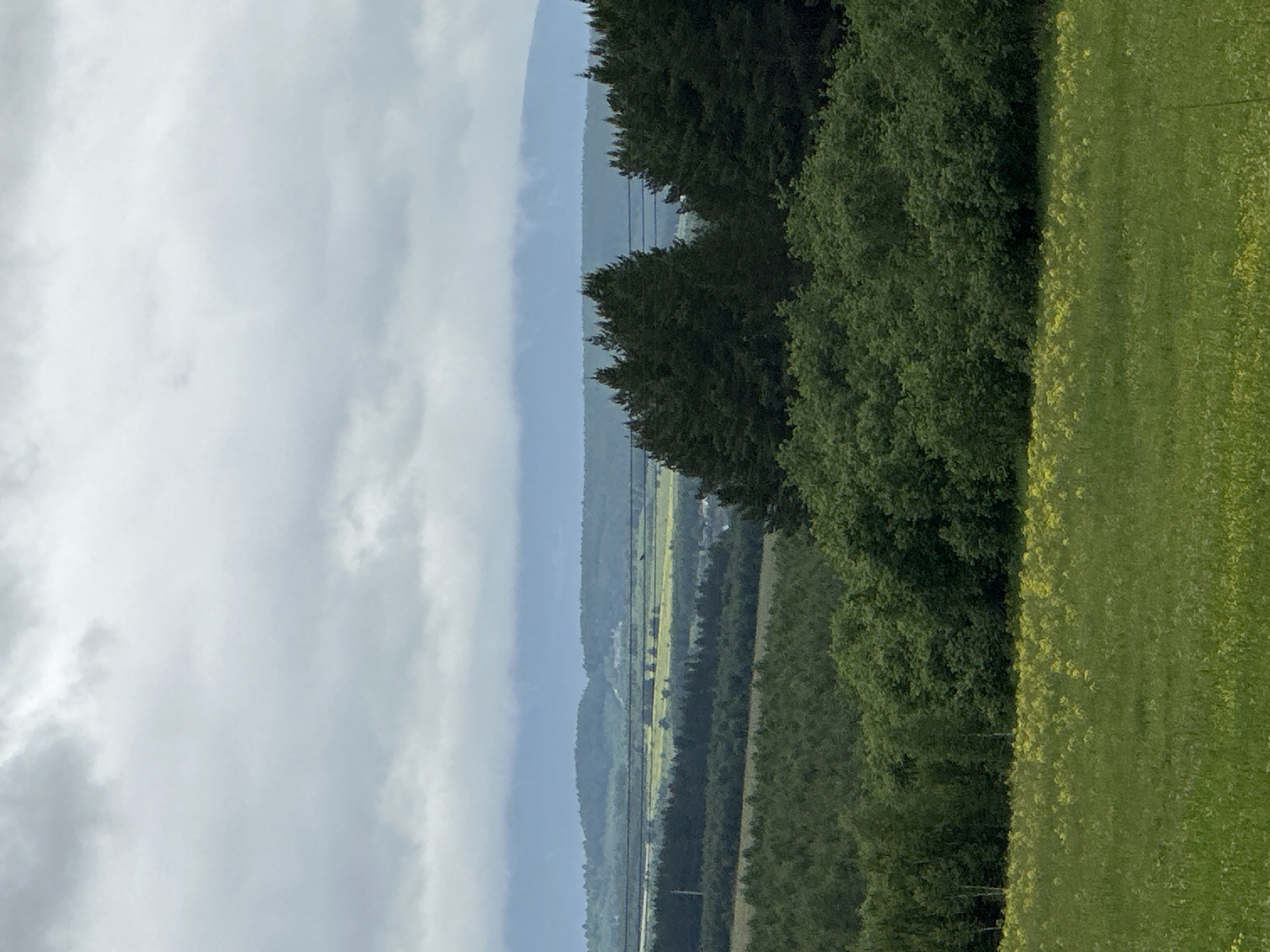 The image shows a lush green landscape under a cloudy sky. In the foreground, a field of green grass is dotted with small yellow flowers. Behind this field, a dense forest of green trees stretches across the middle ground. Further in the distance, rolling hills are covered with more trees and fields, with some areas appearing yellow, possibly indicating crops or more wildflowers. The furthest background is dominated by a hazy blue mountain range under a thick layer of gray clouds. There are no people or animals visible in the image. The scene is likely a rural or natural environment. The description does not contain information about the city of Lomovka, Russia.