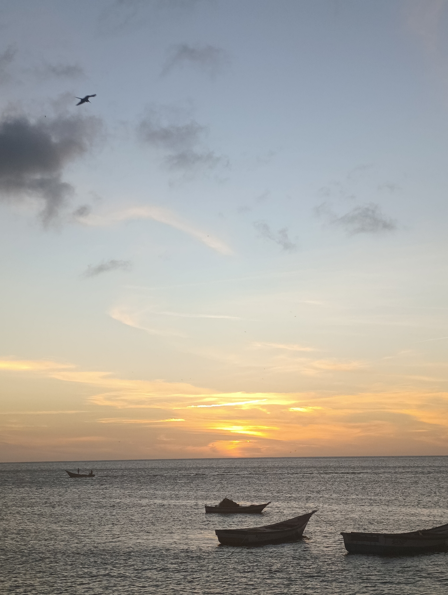 This media file captures a serene sunset scene over the water in Juan Griego, Venezuela. The expansive sky dominates the upper portion of the image, displaying a gradient from a soft blue-grey at the top to vibrant hues of orange and yellow near the horizon, where the sun is setting. Scattered clouds, some dark and others wispy, are distributed across the sky. A single bird is visible in flight in the upper left quadrant, silhouetted against the twilight.
The water surface is calm with gentle ripples, reflecting the diminishing light and colors of the sky. Several small boats are present on the water. Towards the left mid-ground, a single boat contains two or three silhouetted figures, suggesting people engaged in an activity like fishing or traveling. In the foreground and closer to the right, three other unoccupied, dark-hulled boats are either moored or adrift. The overall impression is one of tranquility and peace as day transitions to night. There is no visible text in the image.