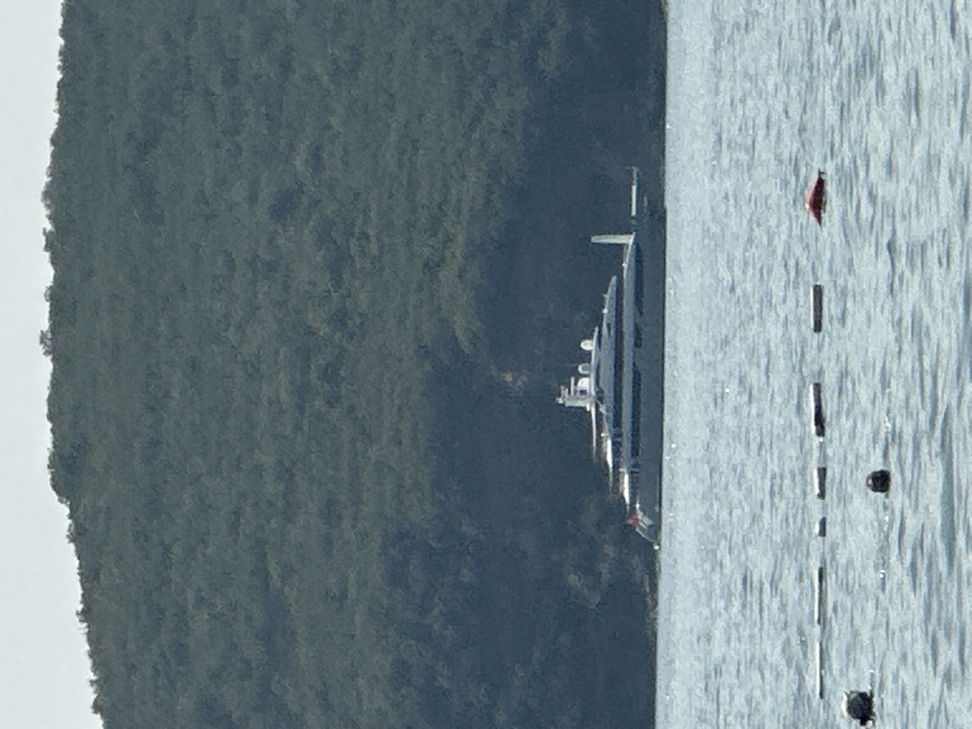 A large, multi-deck yacht is anchored in calm, light blue water in front of a densely vegetated, dark green hill. Several buoys, some appearing as floating rectangular objects and one red, conical object, are scattered across the foreground of the water. Two dark, indistinct shapes, likely heads of people swimming, are visible in the water. The sky above is a pale, overcast gray. The yacht has a white superstructure with multiple windows and appears to be several hundred feet long.