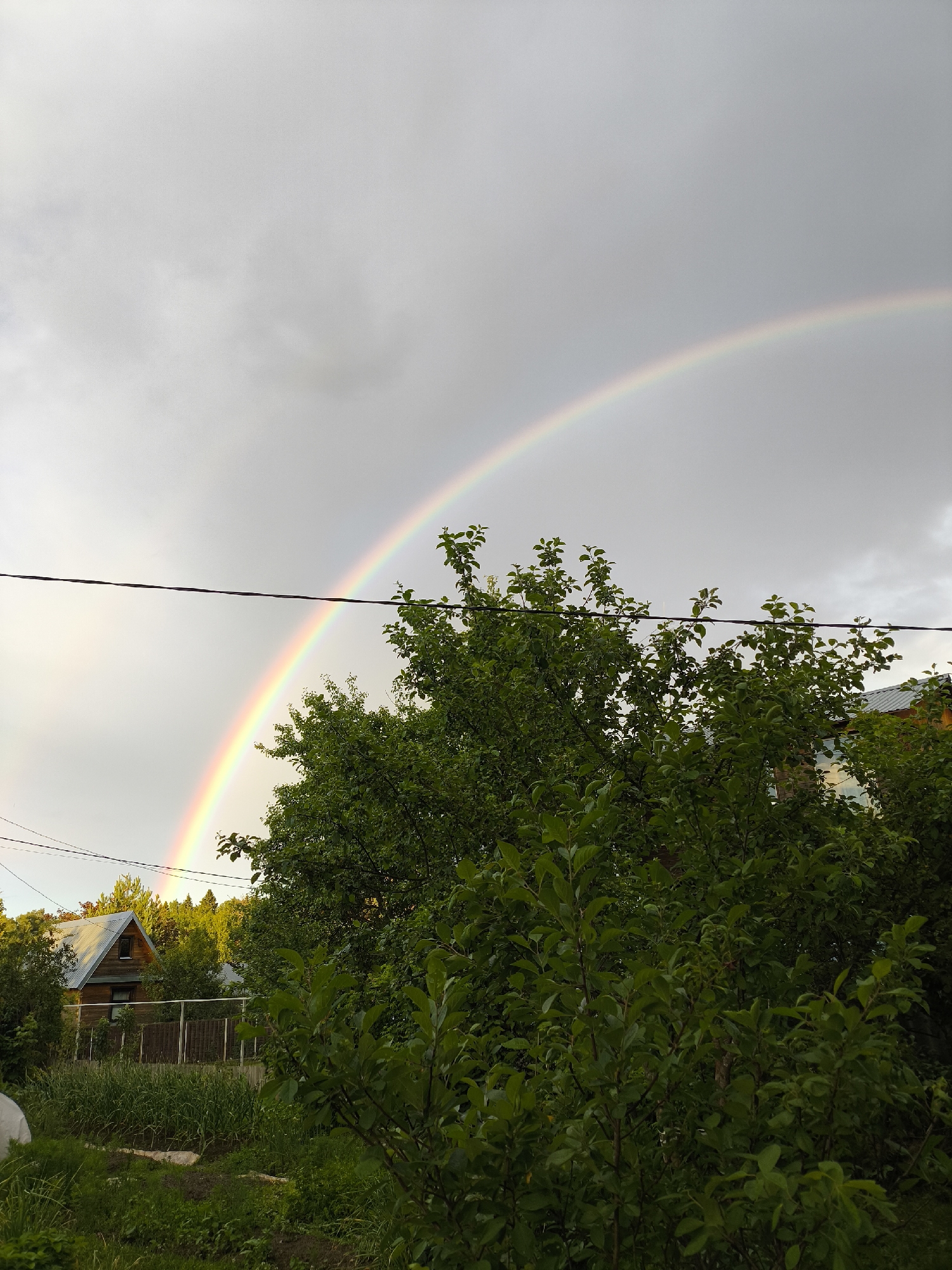 The image depicts a natural scene with a prominent rainbow arching across a grey, cloudy sky. In the foreground, lush green foliage of trees and bushes fills the lower half of the frame, with some of the leaves appearing damp, suggesting recent rain. Behind the foliage, a wooden house with a grey roof is visible, along with a fence and a garden area. Power lines are strung horizontally across the upper portion of the image, intersecting with the rainbow. The overall setting appears to be a rural or suburban environment, possibly a backyard or a village area, given the presence of the house and garden. No people are present in the image. The lighting suggests it is daytime, likely late afternoon or early evening, given the soft light and overcast sky.