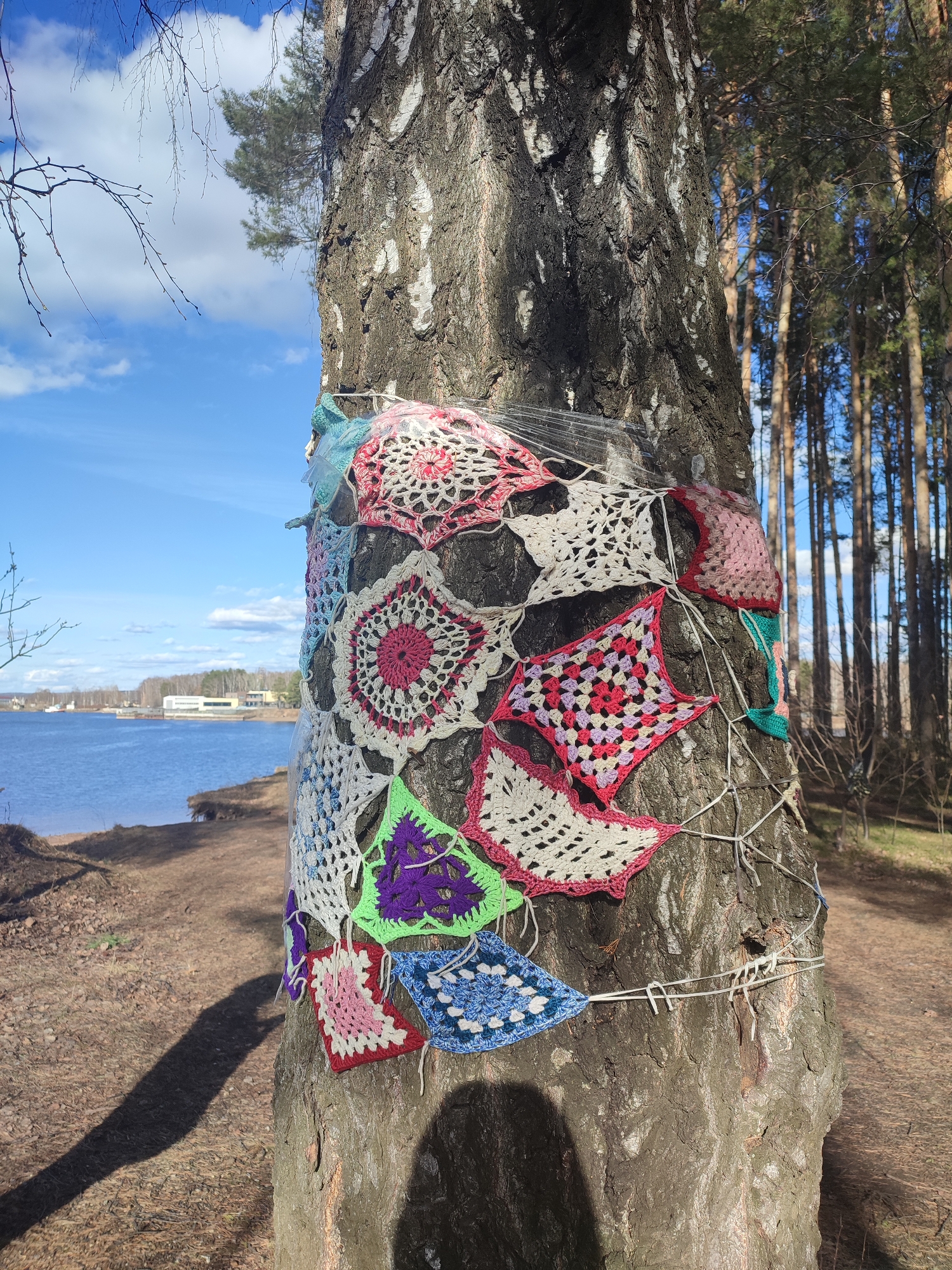 A close-up, eye-level shot reveals a birch tree trunk wrapped with a garland of colorful crocheted squares. The squares, each with a unique design and color combination (pink, white, green, purple, blue), are held together by white twine. The tree trunk's bark is textured with dark, irregular patterns against a lighter background. A sheet of clear plastic wraps the tree.
In the background, to the left, a body of water extends towards the horizon, with buildings visible on the opposite shore. To the right, a forest of tall, slender trees with brown trunks and green tops reaches upwards under a blue sky with scattered clouds.
This image was taken in the city of Chaikovsky, Russia.