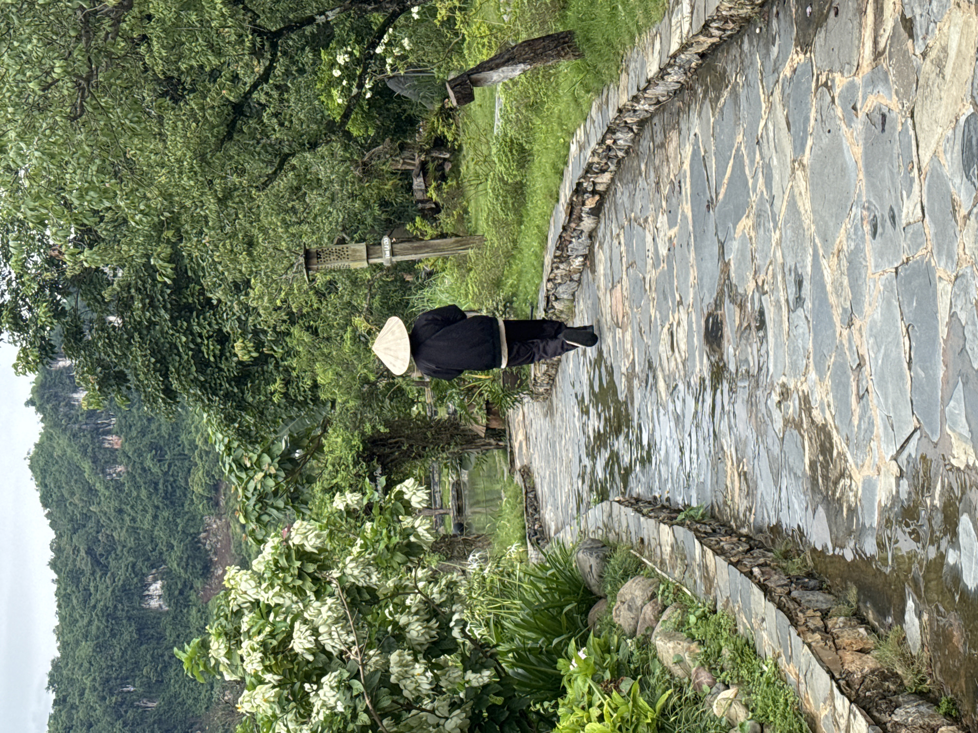 In the city of Moc Chau, Vietnam, a person wearing a conical hat walks away from the camera on a wet, stone-paved path. The path is lined with a low, stone wall. Lush green trees and vegetation surround the path, and in the background, a mist-covered mountain covered in dense forest looms. The sky is overcast.