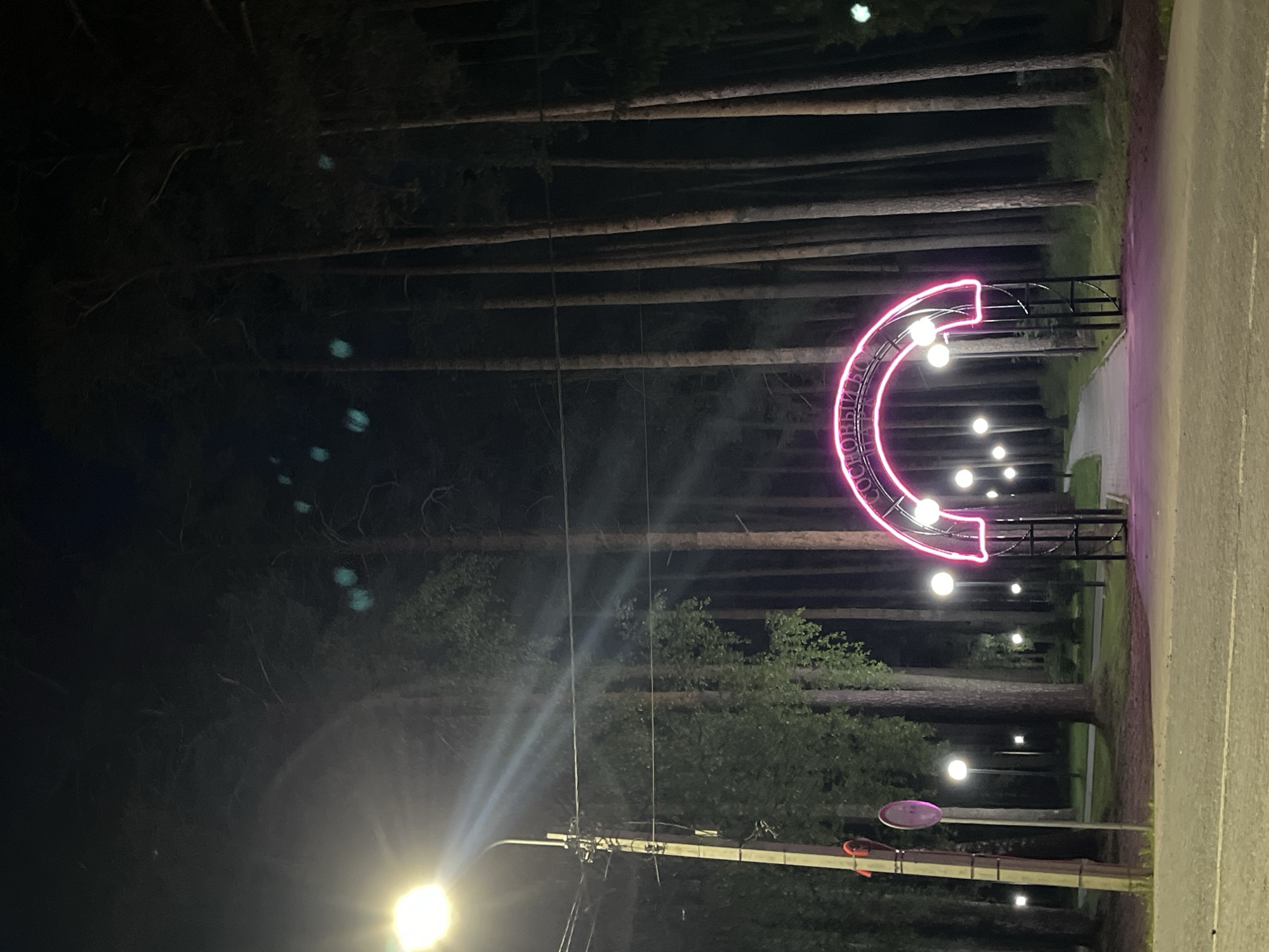 The image depicts an outdoor scene at night in the city of Nikolskoye, Russia. In the foreground, a paved surface transitions into a pathway. To the left, a street lamp with a bright white light illuminates the area, casting beams of light. Adjacent to the lamp post is a circular red sign and a smaller pink circular sign.
The main focal point of the image is a large, arched gateway illuminated by bright pink neon lights. The archway is framed by tall, slender trees with dark foliage, creating a backdrop of a forest. Several smaller, spherical lamps are placed along the pathway leading through the archway, also emitting white light. The ground beneath the archway and extending onto the pathway is illuminated by the pink neon glow.
The overall environment suggests a park or a recreational area, likely a public space within Nikolskoye, designed for evening ambiance with its illuminated archway and pathway lighting. The tall trees indicate a natural setting within or on the edge of the city.