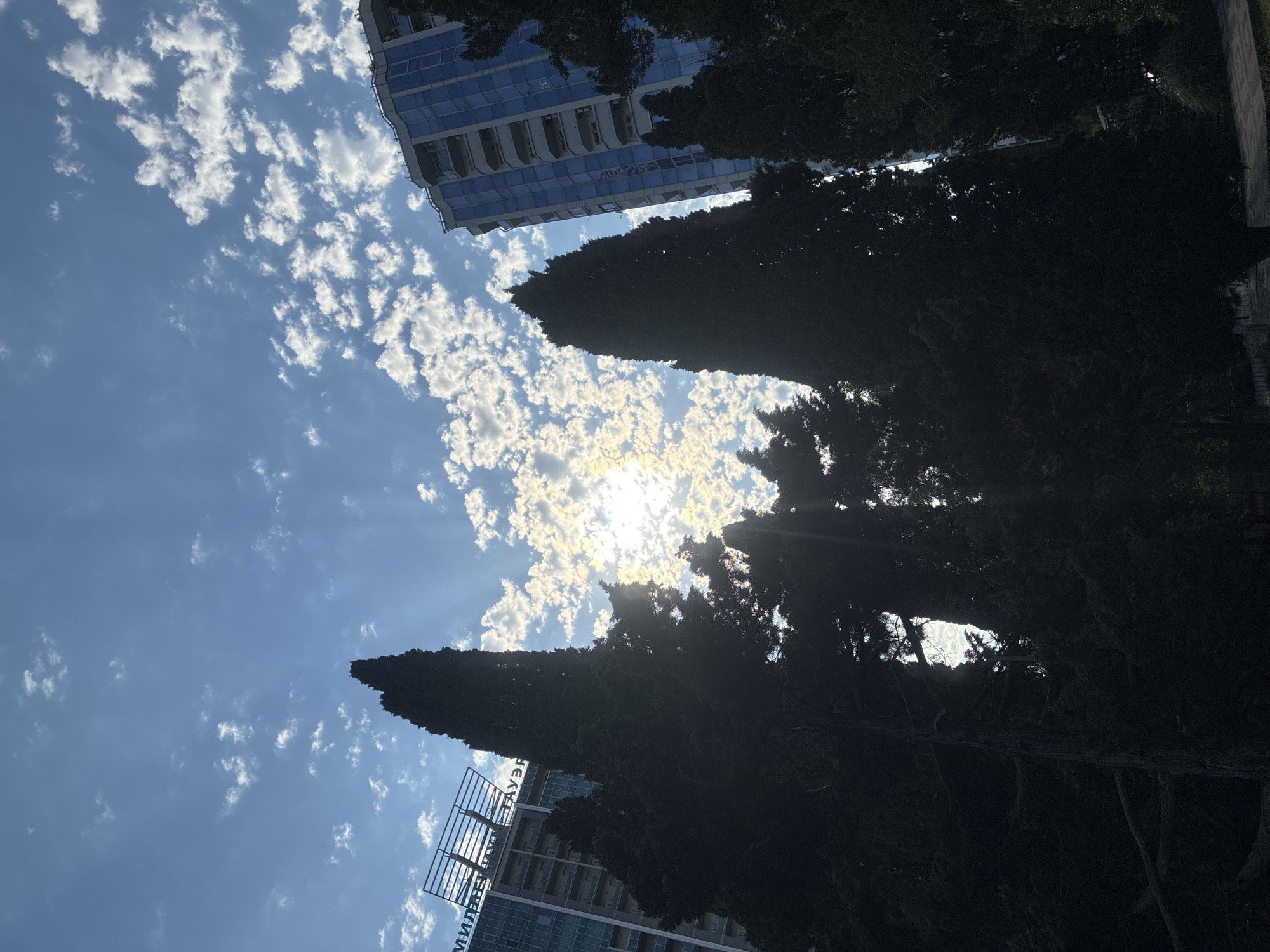 The image depicts a view looking upwards towards a bright, cloudy sky. In the foreground, tall, dark, coniferous trees are silhouetted against the sky, with the sun peeking through the branches and illuminating some of the clouds. In the background, two modern buildings are visible. The building on the left is lighter in color with a grid-like structure on its upper section and text that appears to read "МИЛЛЕНИУМ ТАУЭР" (Millennium Tower) in Cyrillic. The building on the right is a tall, blue-glass skyscraper with balconies. The sky is a vivid blue, filled with scattered, white cumulus clouds that are backlit by the sun, creating a bright halo effect. The overall scene suggests an outdoor urban environment in Sochi, Russia, characterized by a mix of natural elements (trees) and contemporary architecture under a partly cloudy sky. There are no people or animals visible in the frame.