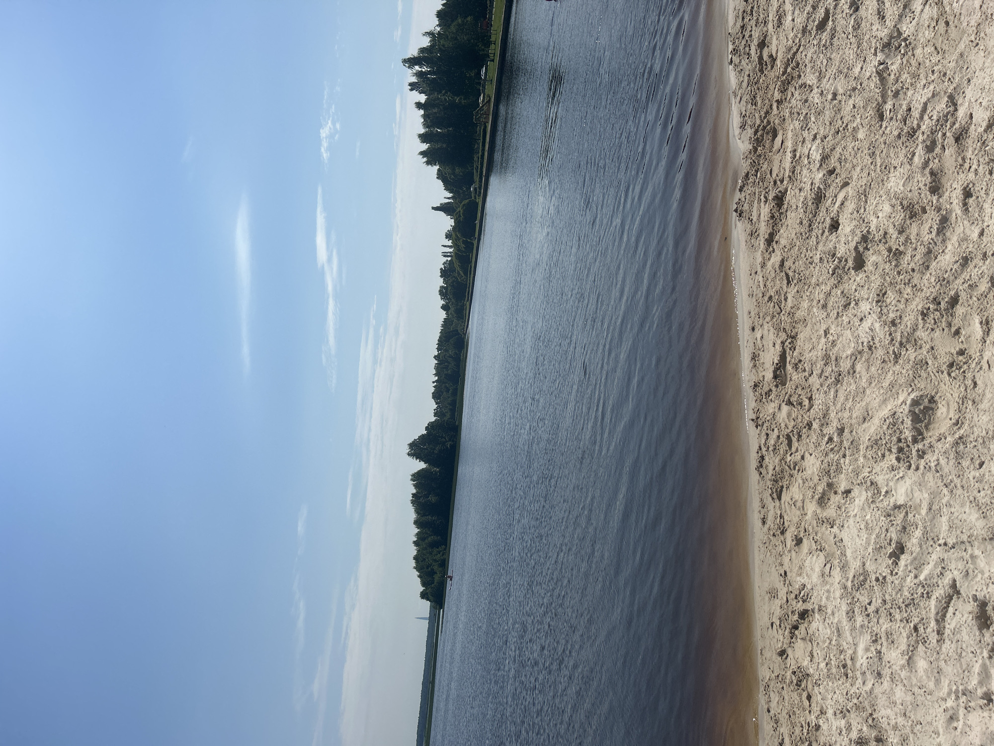 A wide-angle, eye-level shot captures a serene summer day at the beach in Sestroretsk, Russia. The foreground is dominated by a sandy beach with uneven, textured sand, showing subtle indentations and footprints. The water of the Gulf of Finland stretches across the midground, its surface rippled by a gentle breeze. The water transitions from a murky brown near the shore to a deep blue further out. In the distance, a line of lush green trees forms the shoreline, with a few taller, slender trees interspersed. Beyond the trees, a faint, tall structure is visible on the horizon. The sky above is a clear, bright blue, with a few wispy white clouds scattered across it. There are no people visible on the beach or in the water in the immediate foreground.