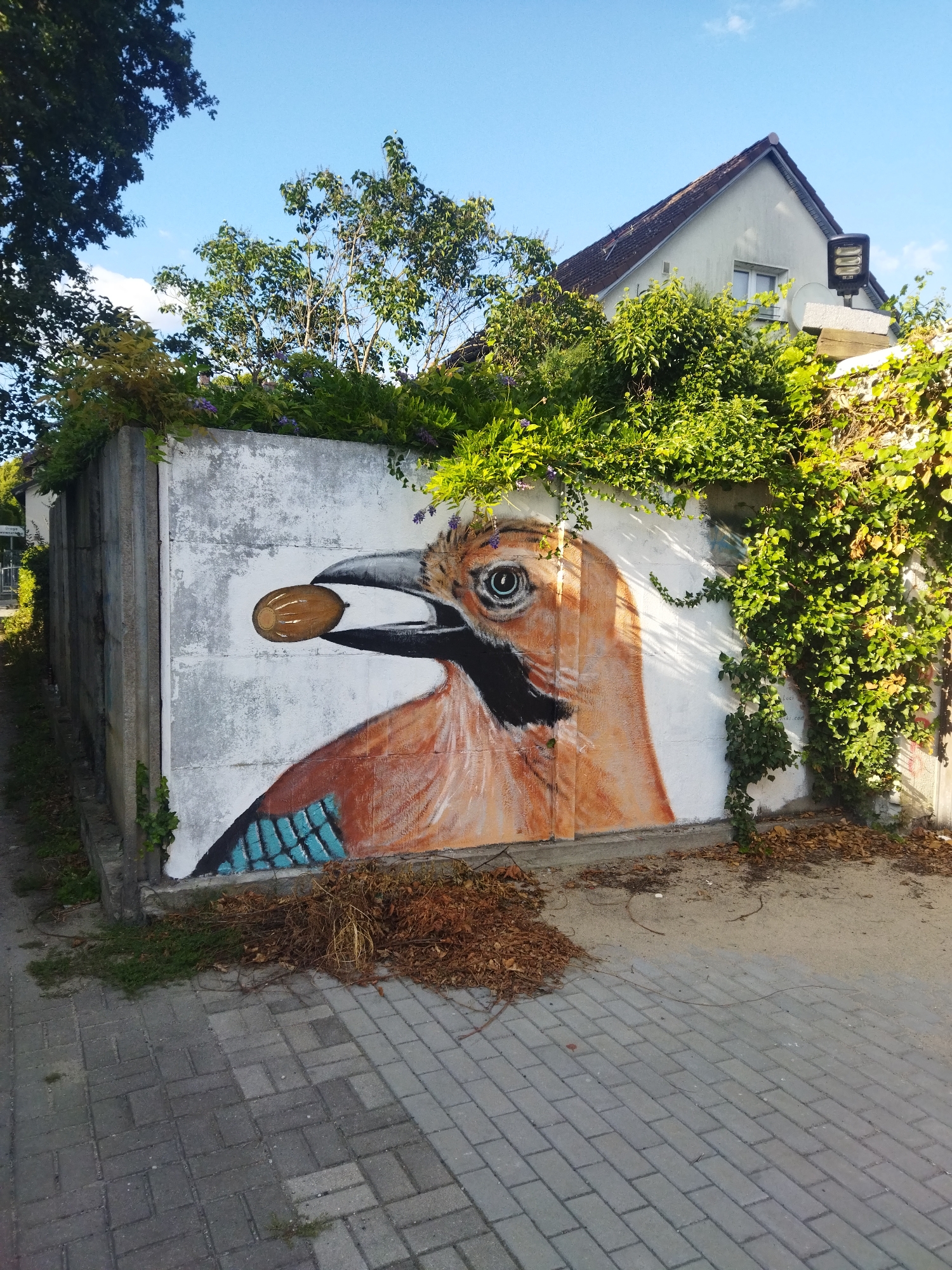 The image captures a section of a concrete wall adorned with a mural of a bird, likely a jay, holding a nut in its beak. The bird's head is depicted in profile, with vibrant orange and brown feathers and striking blue wing accents. Behind the wall, a residential building with a gabled roof and dormer windows is partially visible, surrounded by lush green foliage. A modern streetlamp is mounted on a pedestal to the right of the house. The foreground features a paved walkway composed of interlocking grey pavers, bordering a sandy area with fallen leaves and dry foliage. The mural is situated outdoors, likely in a public or residential area in Szczecin, Poland, judging by the architectural style and vegetation. No people are present in the frame.