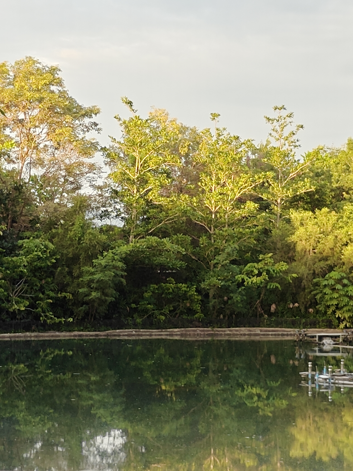 The image shows a body of water in the city of Mu Si, Thailand, with lush greenery and trees lining its edge. The sky is visible in the upper portion of the image. The water's surface reflects the trees and sky, creating a mirror-like effect. Some floating structures, possibly part of a water treatment system or a dock, are visible on the right side of the water. The overall scene depicts a natural, tranquil environment.