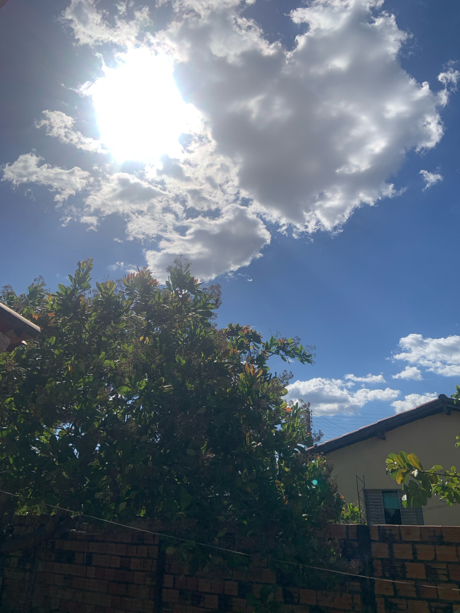 The image shows a bright sky with the sun partially obscured by clouds, casting a strong glare. Below the sky, a dense green tree fills the left and central portions of the frame. A brick wall runs along the bottom of the image, and a portion of a house with a tiled roof is visible on the right. The scene suggests an outdoor environment, likely a residential area, with elements of nature and human construction.