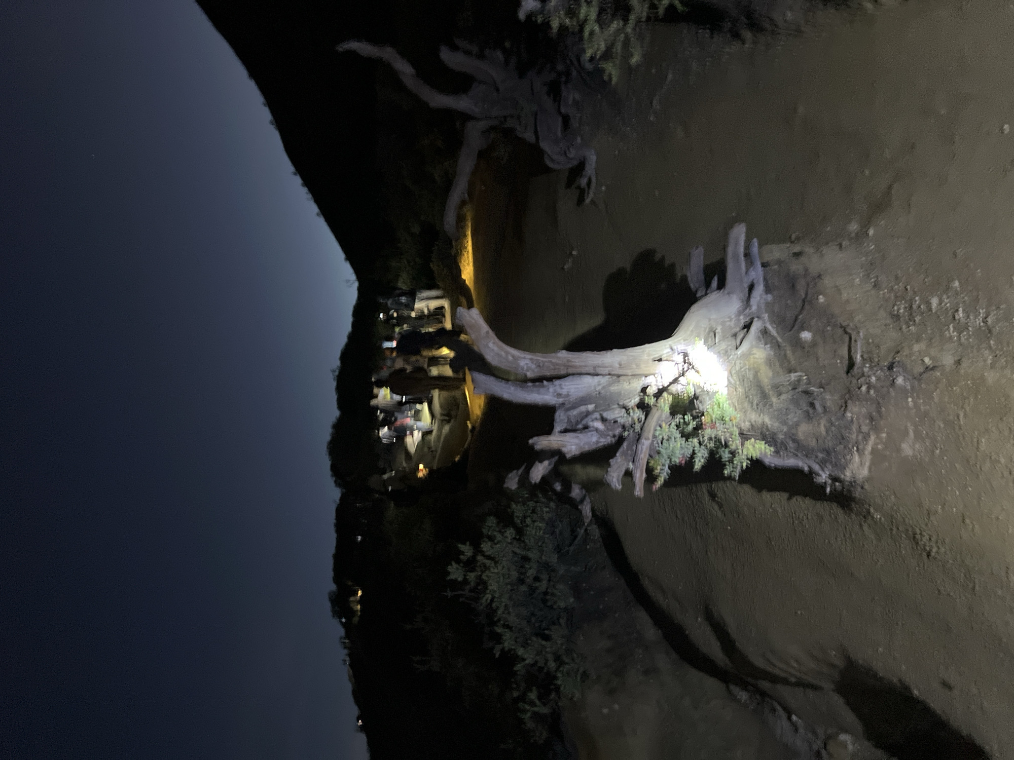The image depicts a nighttime scene with a focus on a large, exposed tree root system in a dirt or sandy area. The roots are illuminated, possibly by a flashlight or other artificial light. To the left of the tree roots, in the distance, there is a cluster of buildings or houses with lights on, possibly indicating a residential area. The sky is dark, suggesting it is night. The location is Unknown, Indonesia.