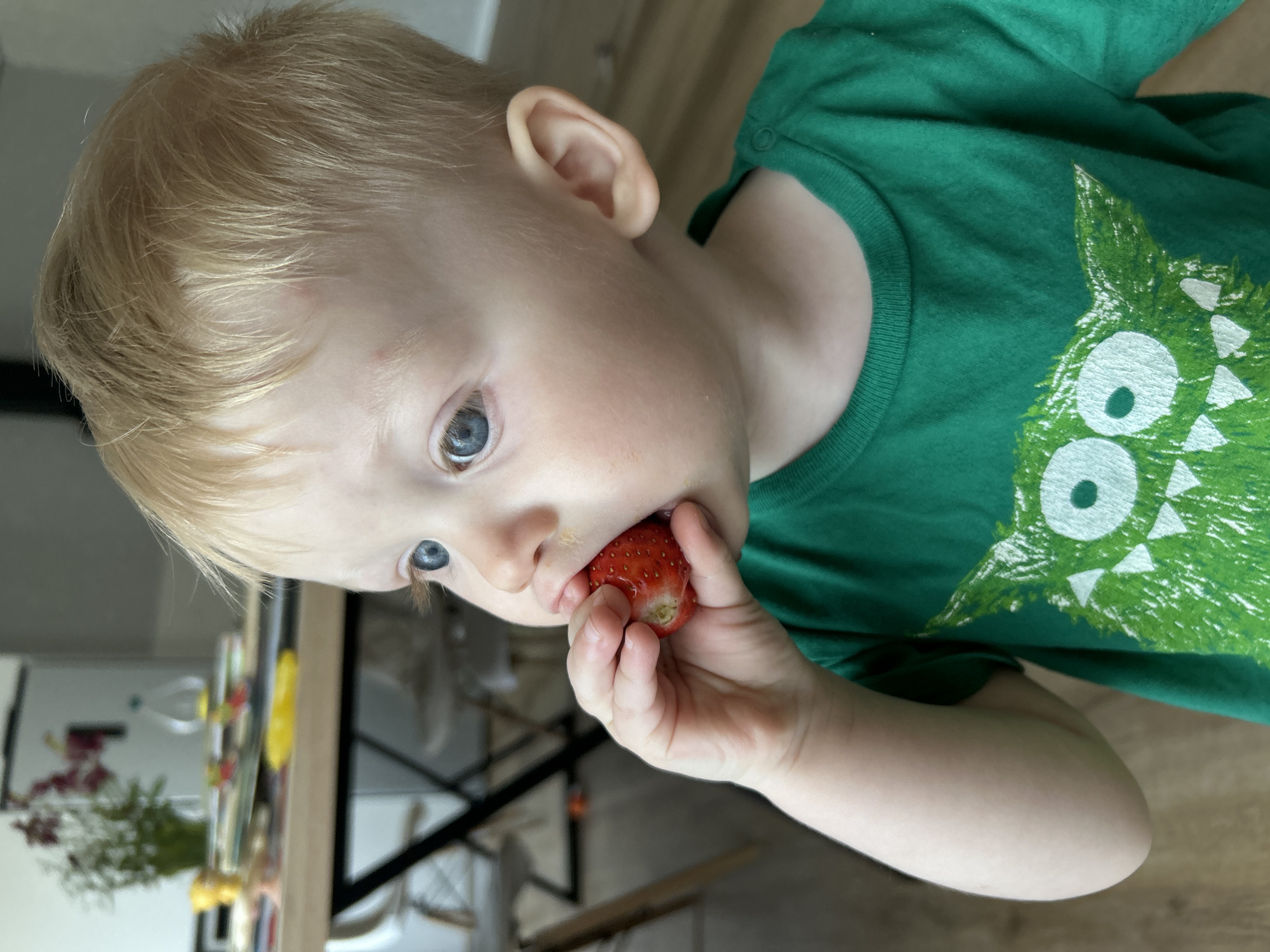 A fair-skinned, blonde toddler wearing a green t-shirt with a monster graphic is eating a strawberry. The child's hand is holding the strawberry to their mouth. The background includes a table and some furniture. The image does not appear to be taken in Chaikovsky, Russia, nor is there any information to support that claim.