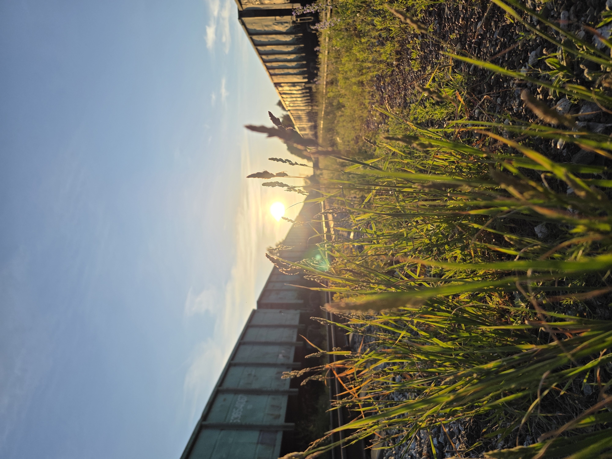 The image depicts a low-angle view of a train of freight cars parked on a railway track, with tall grass and weeds growing along the side. The scene is bathed in the warm, golden light of the setting sun, which casts long shadows and creates a lens flare effect. The sky is a clear, pale blue with a few wispy clouds on the right side. The train cars are a muted teal color and appear to be old and weathered, with some visible rust and dirt. The foreground is dominated by the vibrant green blades of grass, some of which have seed heads. The ground is covered in gravel and small stones. The overall mood of the image is peaceful and serene, evoking a sense of rural tranquility. The image appears to have been taken in Chaikovsky, Russia, during the evening. There is no visible text in the image.