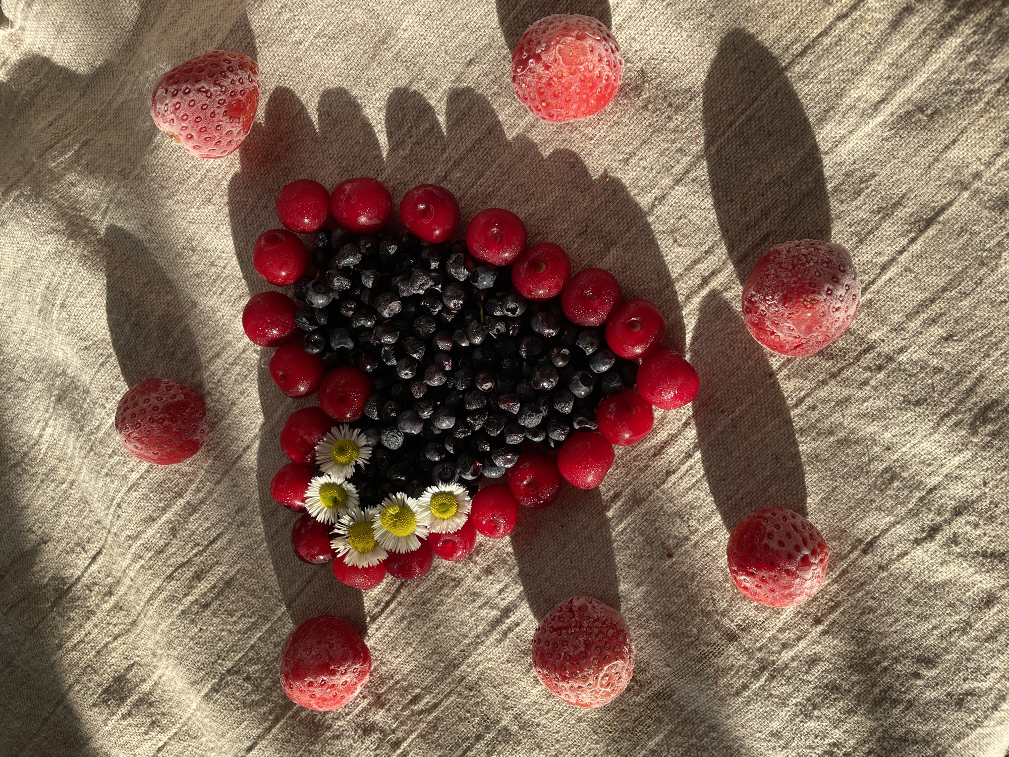 The image shows a collection of berries and daisies arranged in a heart shape on a textured, light-brown linen fabric. The heart is filled with dark blueberries and bordered by bright red cherries. A few small white daisies with yellow centers are placed within the heart, near the bottom left. Several whole strawberries, appearing to be frozen or dusted with frost, are scattered around the fabric, outside the heart shape. The lighting suggests it is daytime, with strong shadows cast by the strawberries and the arrangement of berries, indicating sunlight is coming from the side. The scene is indoors, likely on a table, given the fabric and lighting. There is no visible text. The overall impression is one of a natural, possibly rustic, presentation of fresh fruit.