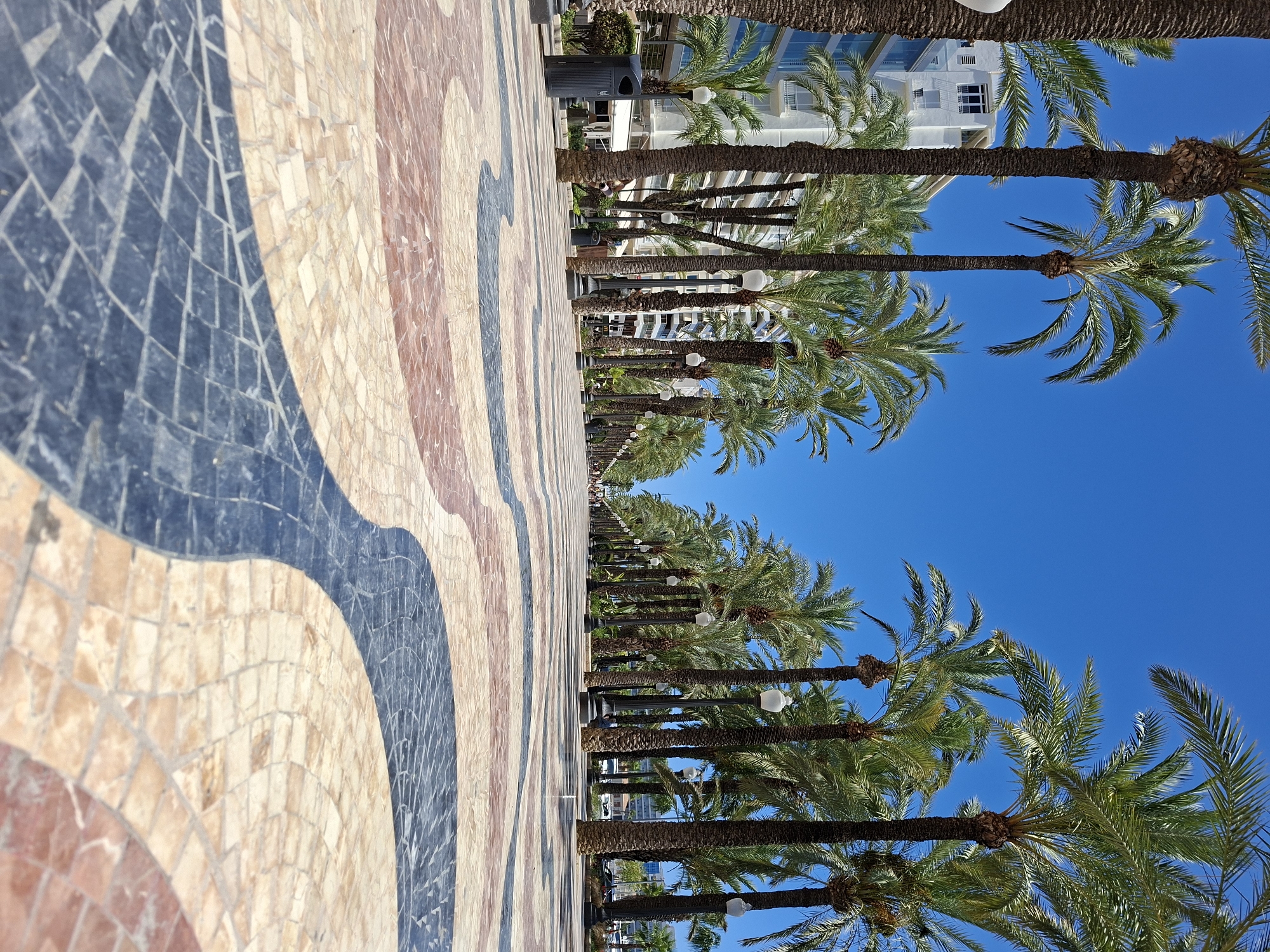 The image depicts a sunlit promenade lined with palm trees and a mosaic-tiled walkway. The mosaic features a pattern of curved bands in shades of blue, beige, and reddish-brown. The palm trees, with their distinctive textured trunks and green fronds, are arranged in a neat row, casting shadows on the walkway. White, globe-shaped lamps are suspended from posts along the promenade. In the background, several white buildings with balconies and windows are visible, suggesting an urban or resort setting. The sky is a clear, vibrant blue, indicating fair weather and likely daytime, possibly mid-morning or afternoon given the quality of light and the length of the shadows. The perspective is from a low angle, emphasizing the repeating pattern of the walkway and the verticality of the palm trees. The scene evokes a sense of vacation or leisure, likely in a warm climate. There is no visible text in the image.